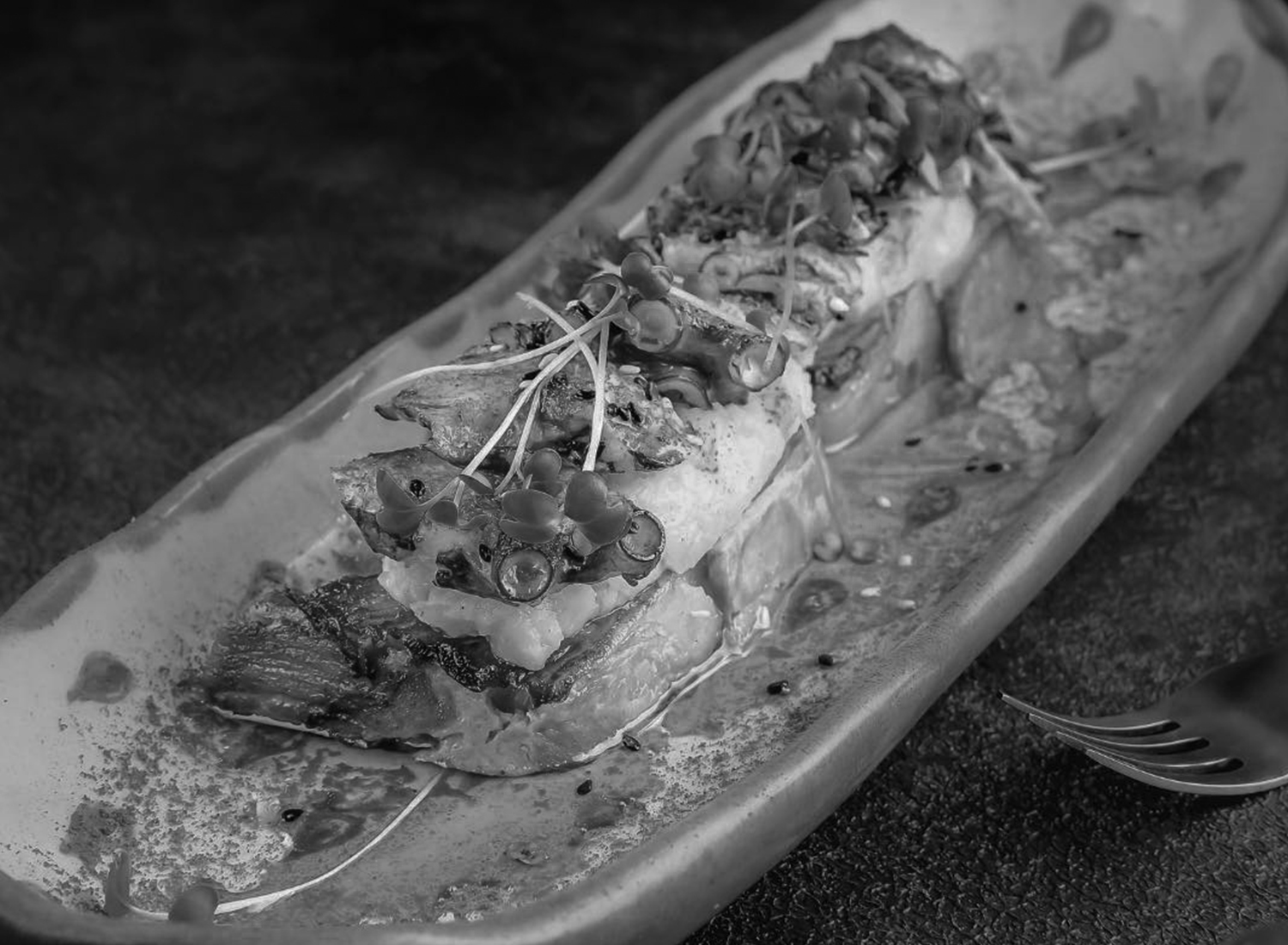 TPC_BW_Pescado1