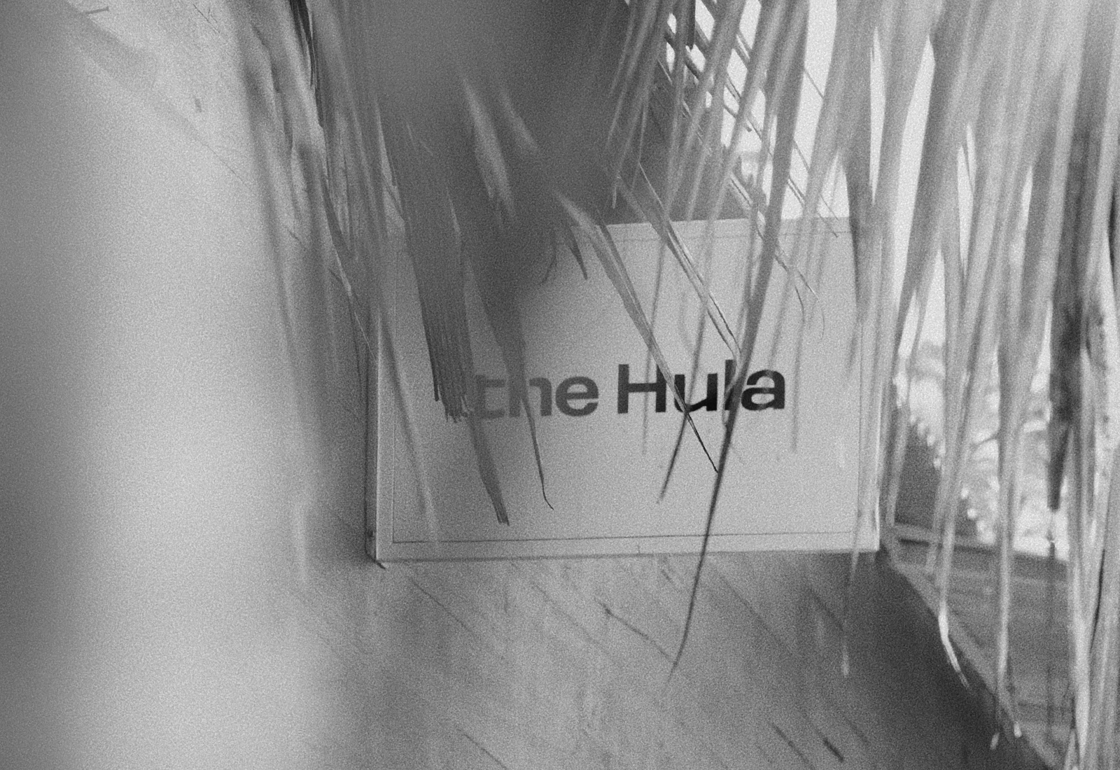 ThePunch_Brands_TheHula2