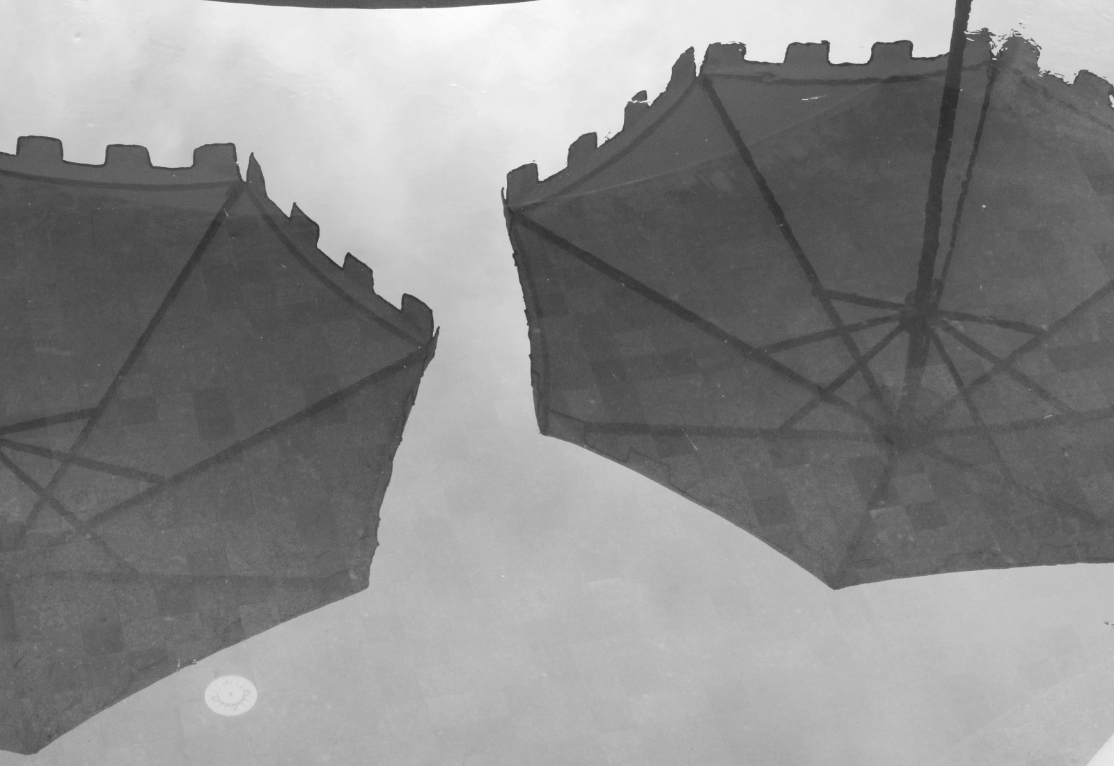 ThePunchCommunity_Featured_EscapeHaven4