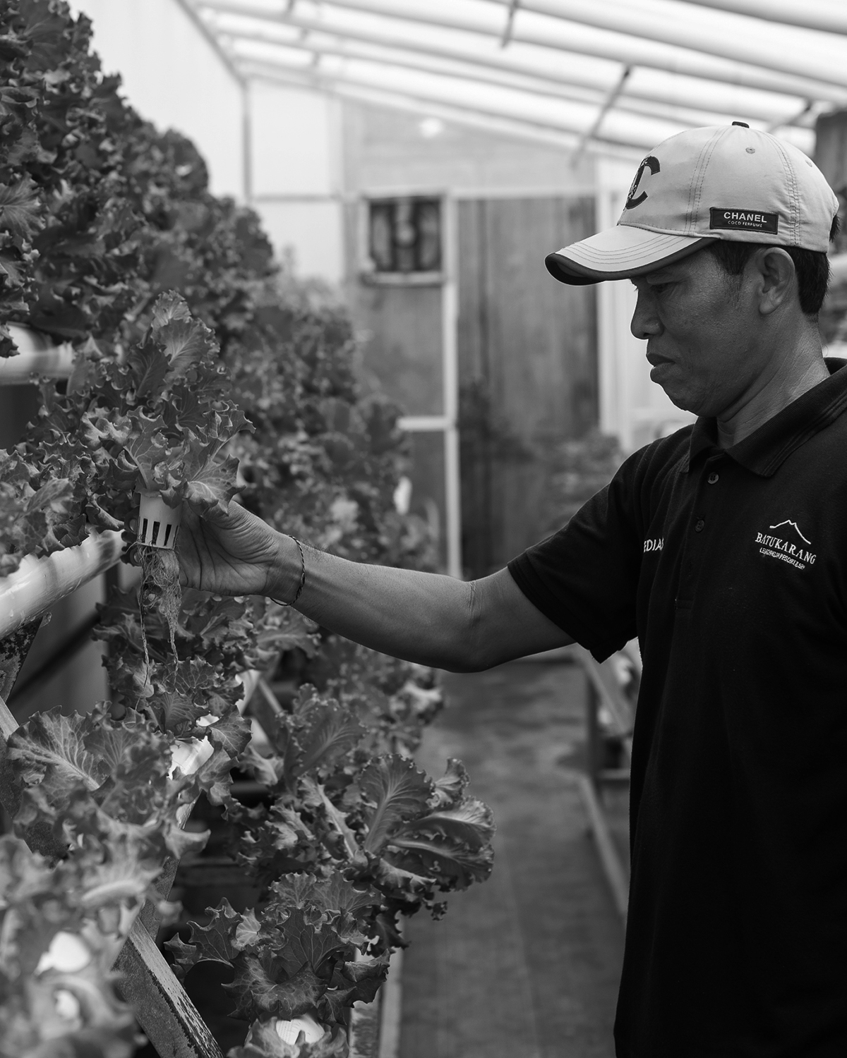 ThePunchCommunity_BatuKarang1