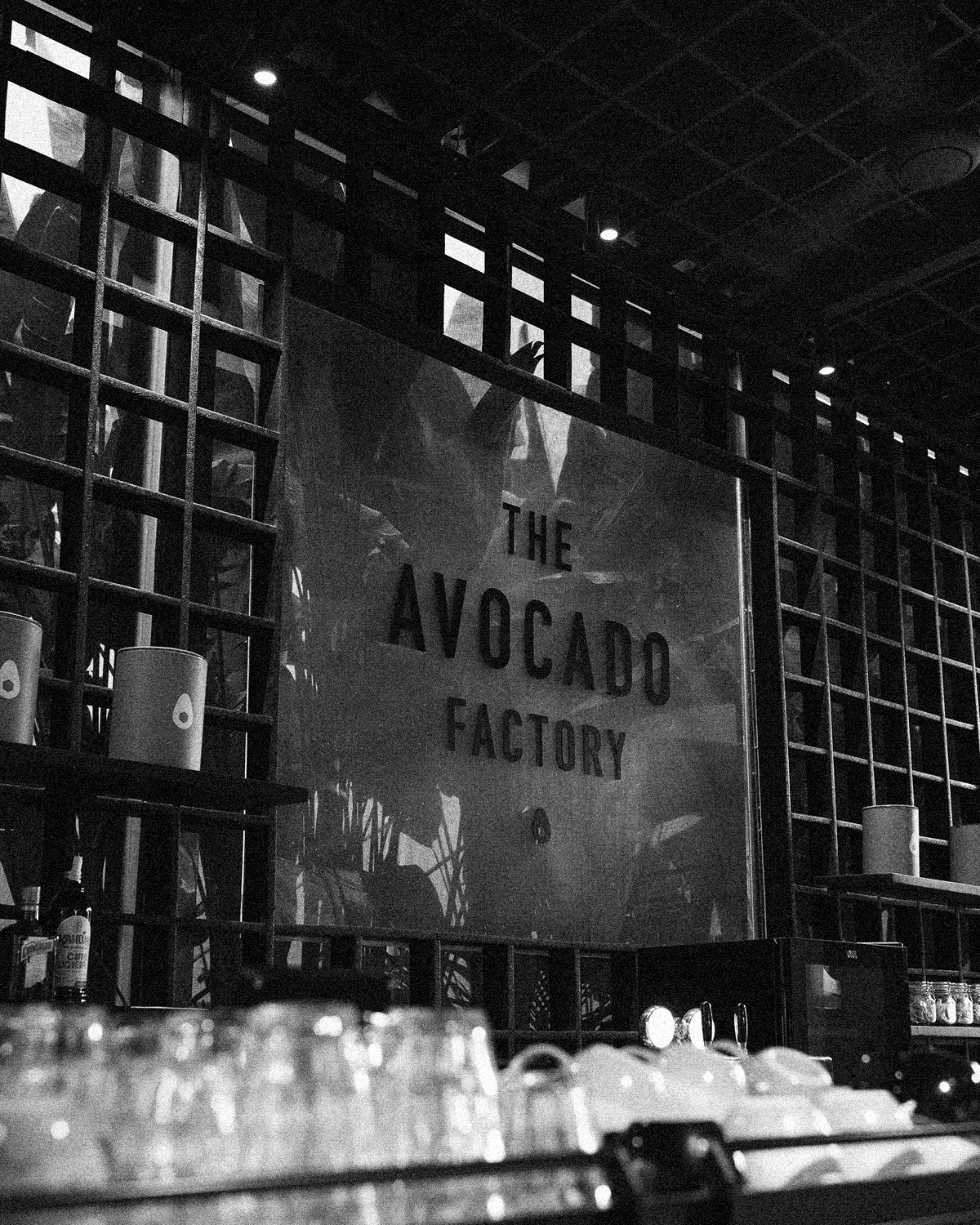 ThePunchCommunity_TheAvocadoFactory2
