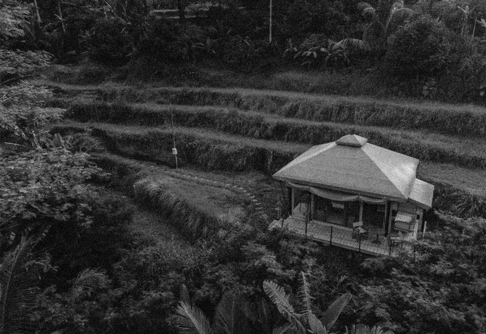 ThePunchCommunity_ThePunchList_BestHotels-Bali_NadiBali1