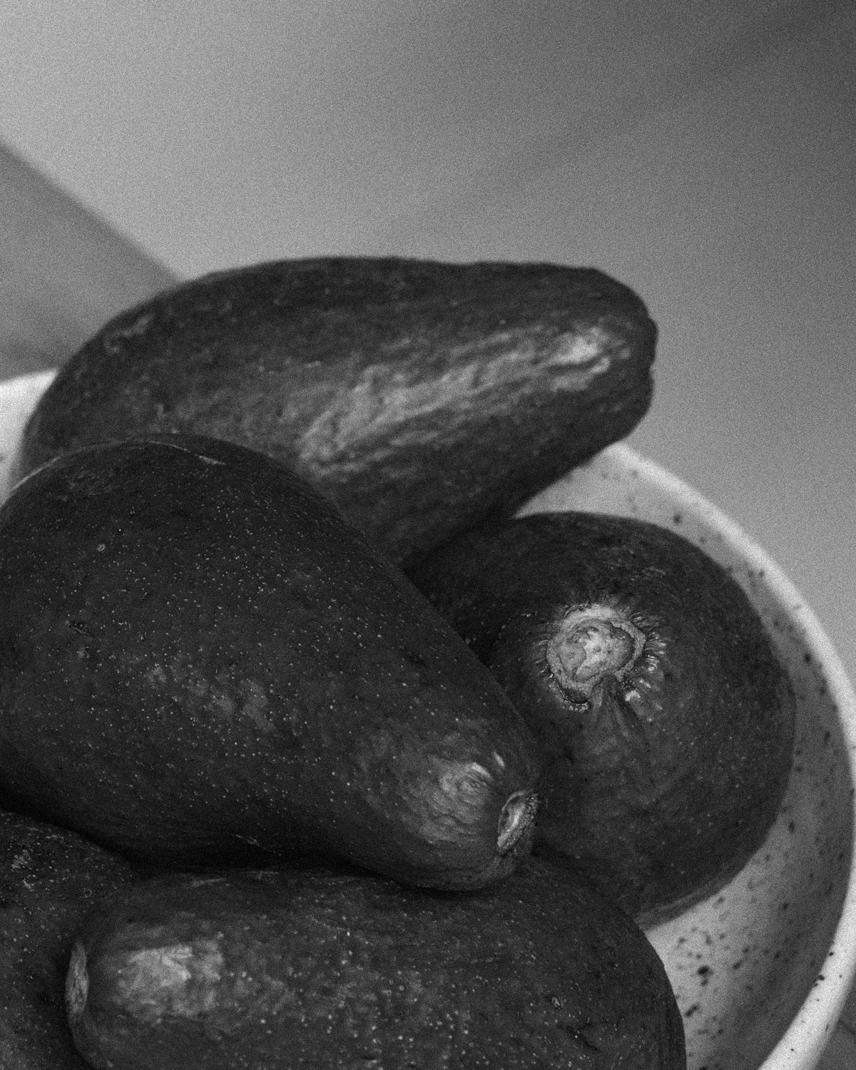 ThePunchCommunity_Featured_TheAvocadoFactory14