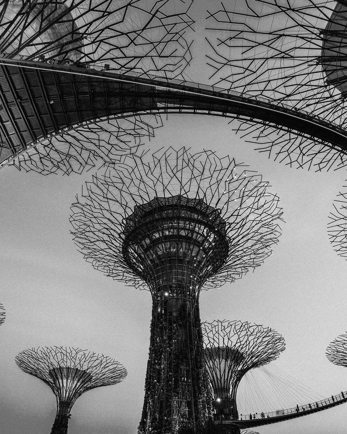 ThePunchCommunity_UncoveredSeries_Singapore2