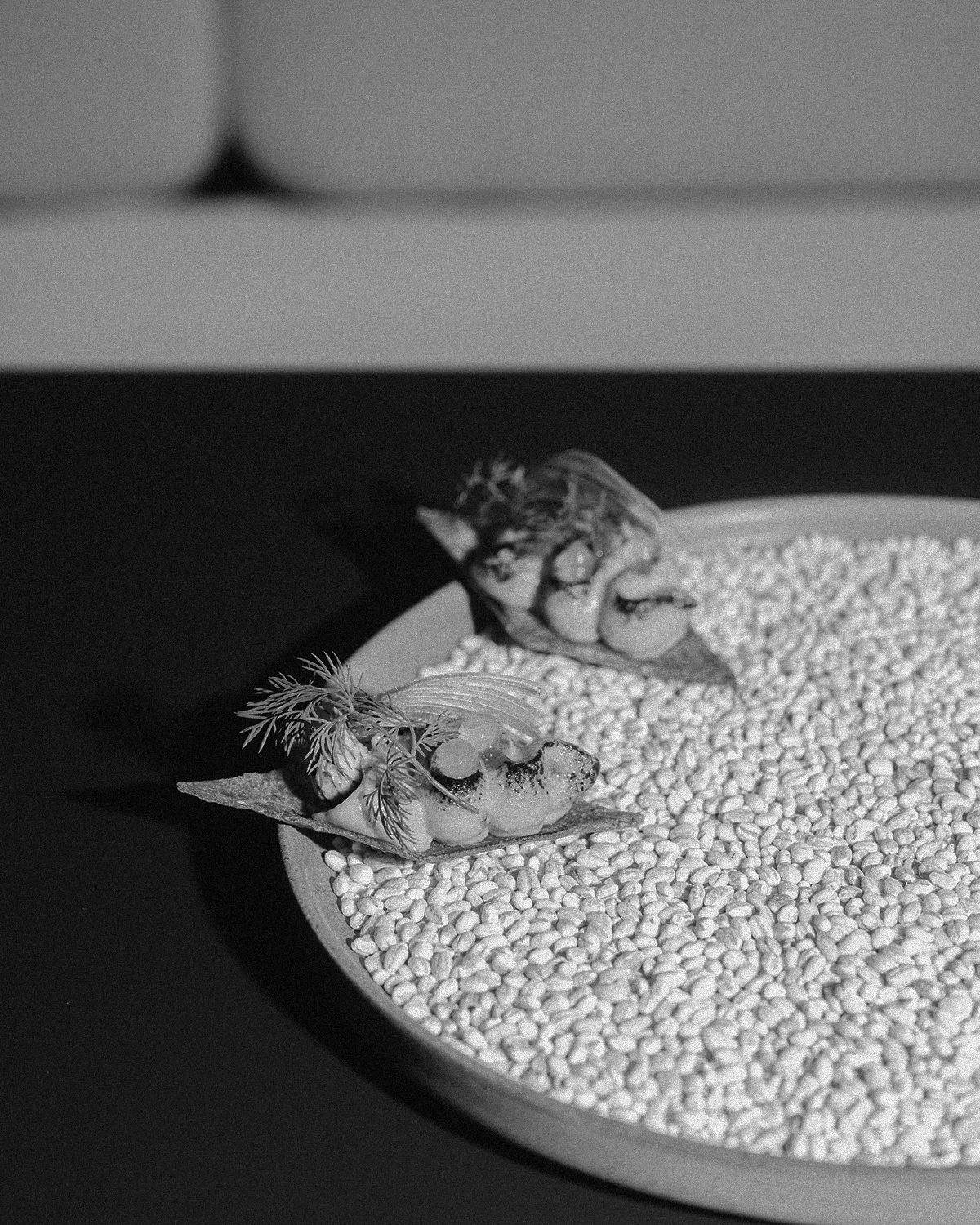 ThePunchCommunity_UncoveredSeries_Singapore_Fura3