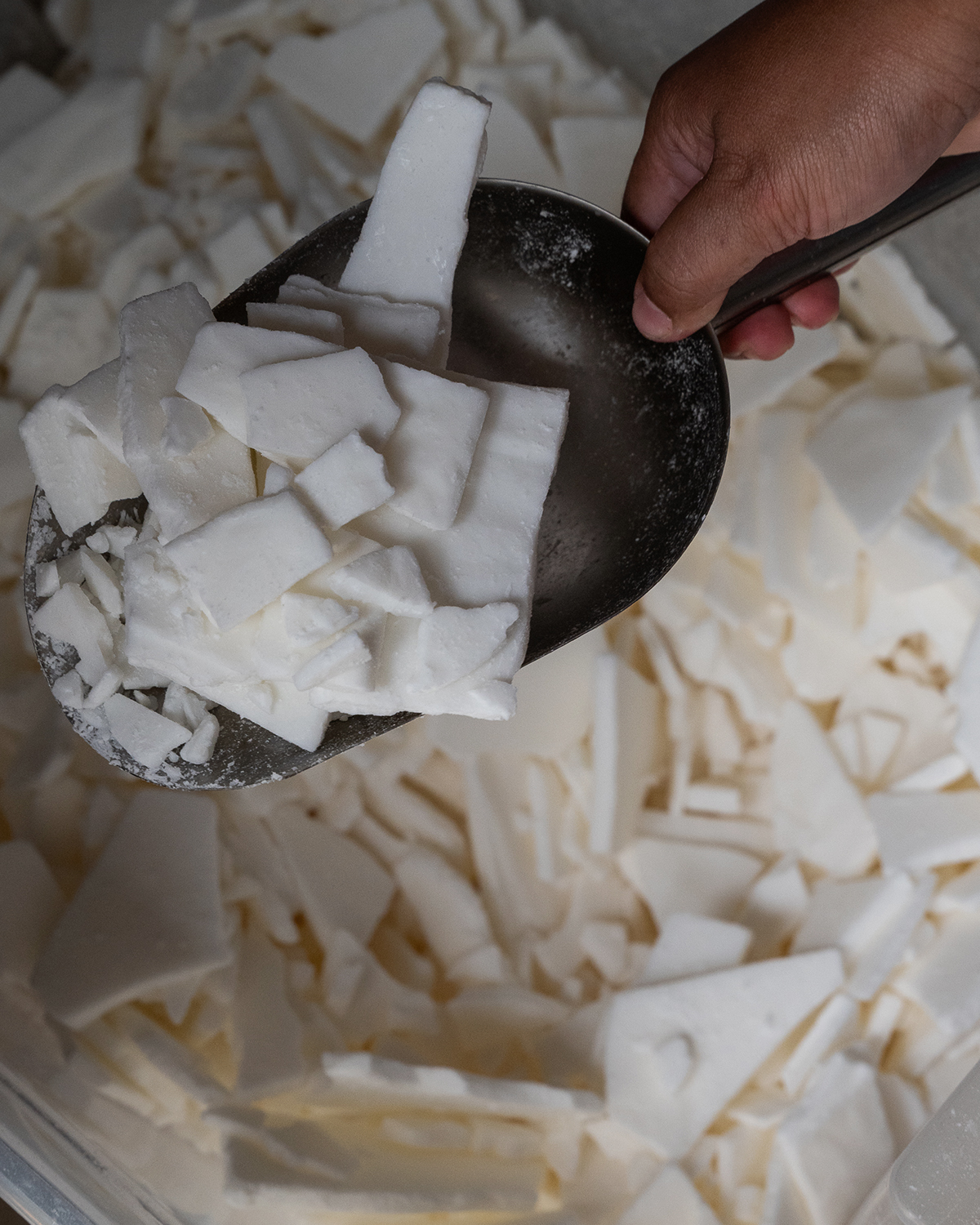 ThePunchCommunity_Featured_Alami14