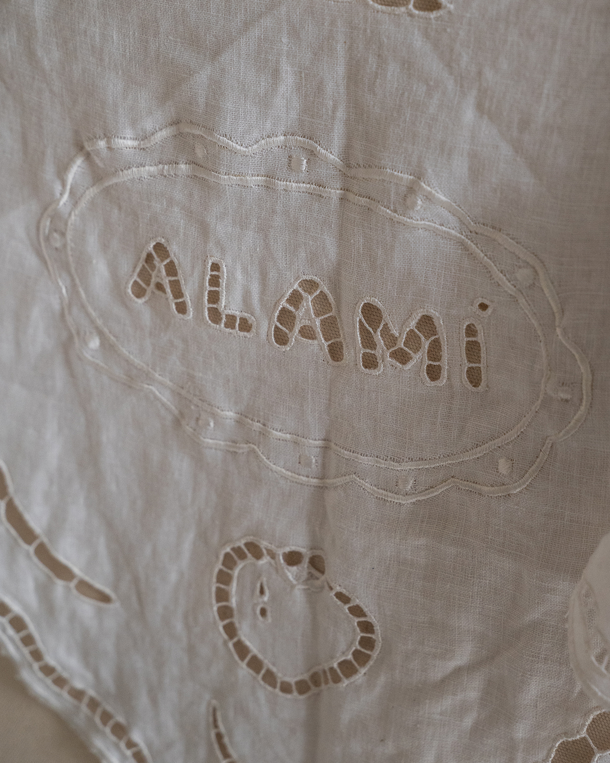 ThePunchCommunity_Featured_Alami4