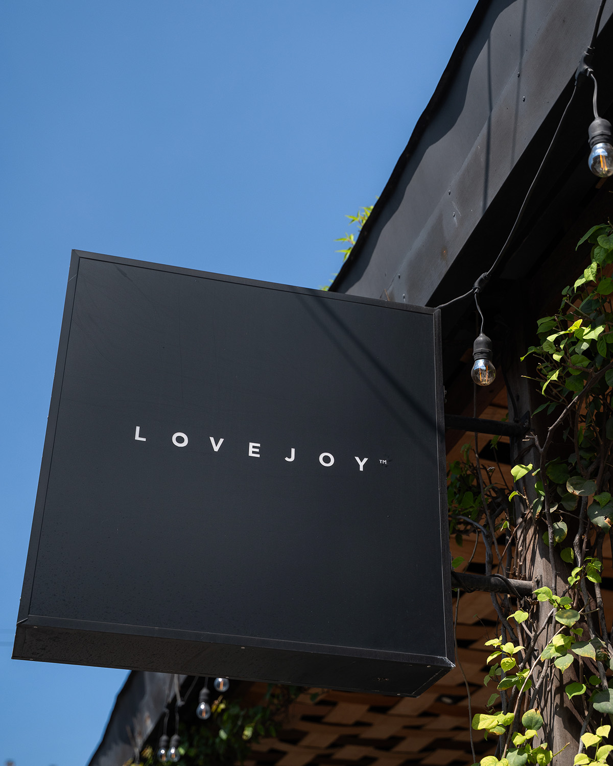 ThePunchCommunity_Featured_LoveJoy14