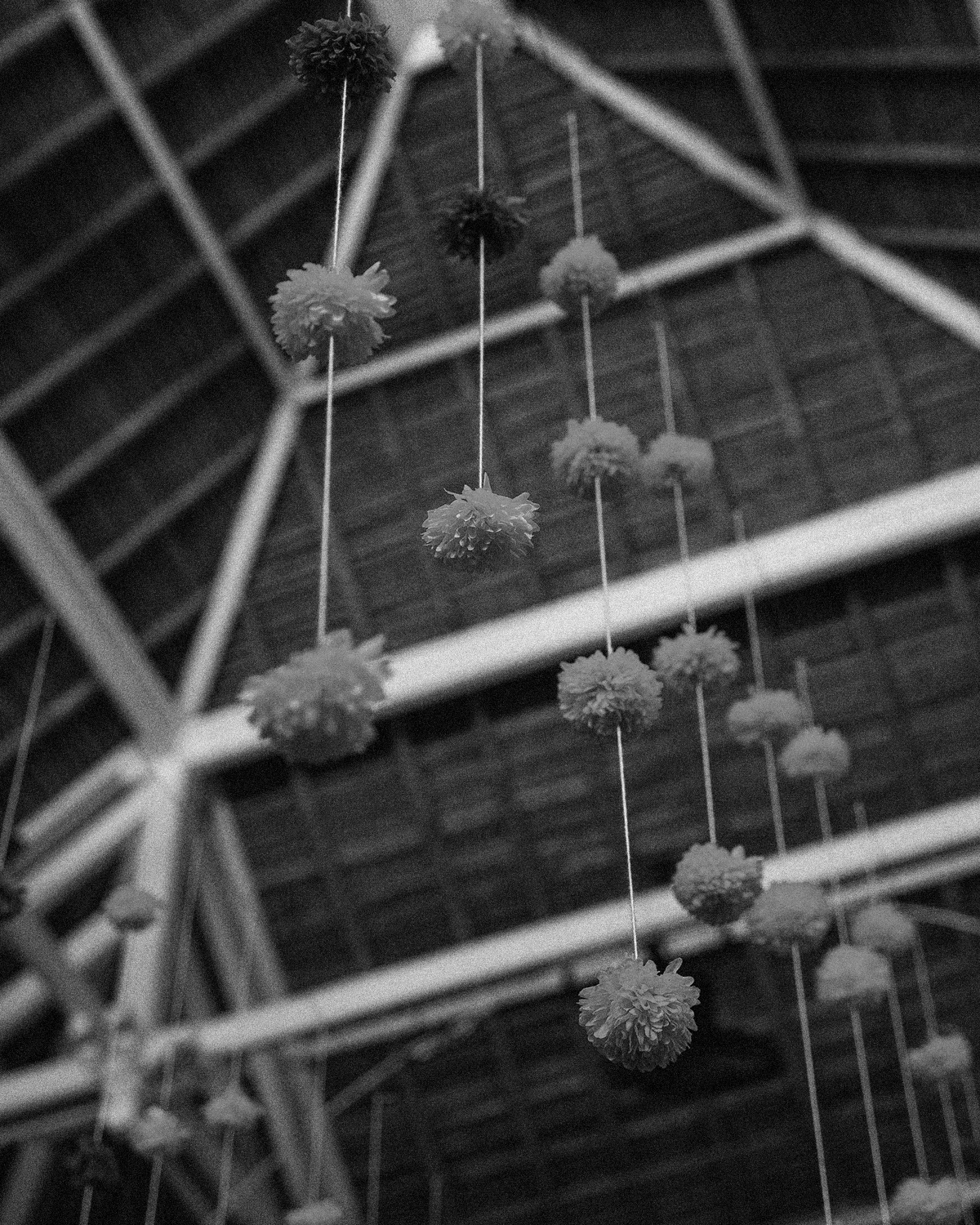 ThePunchCommunity_Featured_Mexicola9