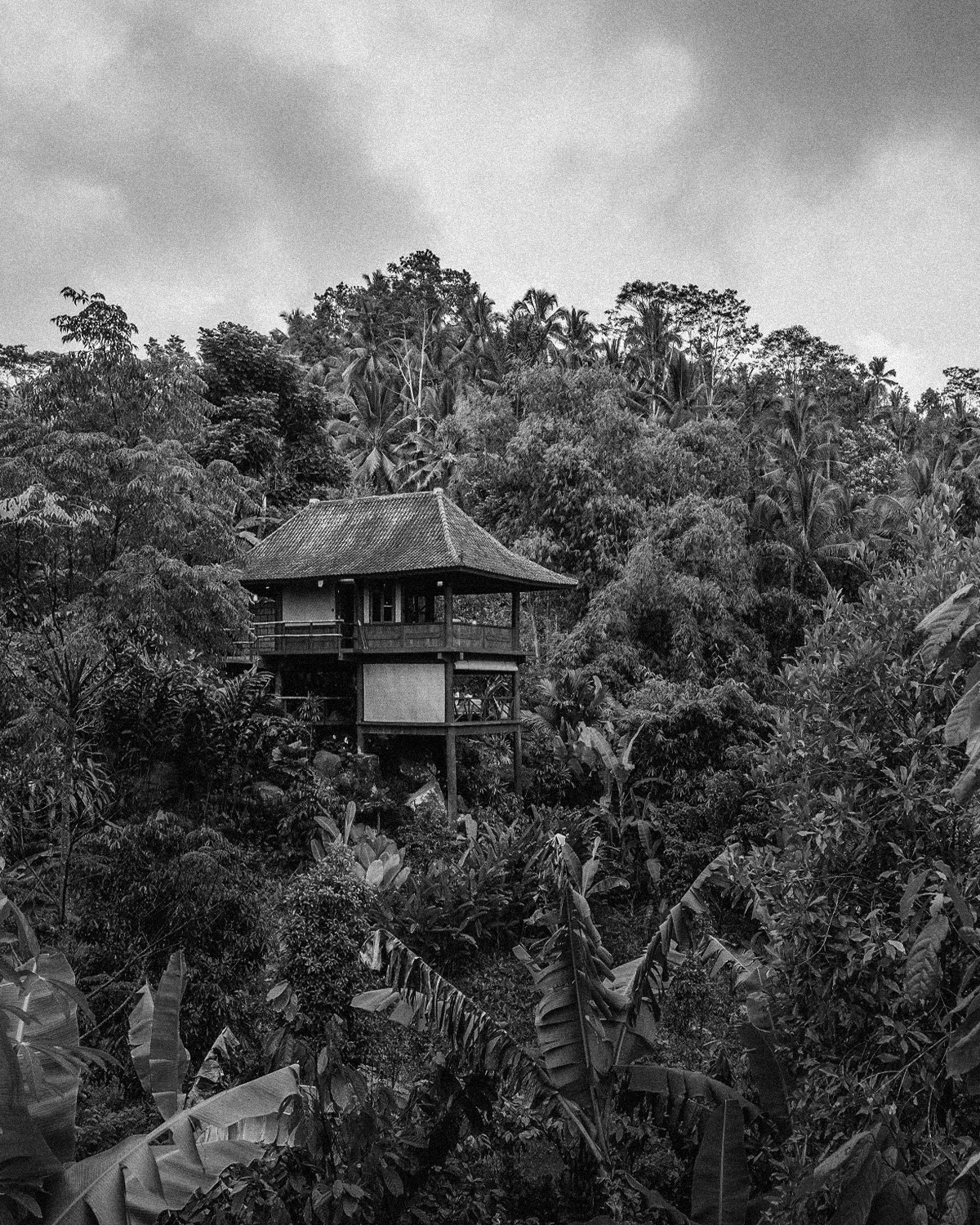 ThePunchCommunity_Featured_BaliEcoStay1