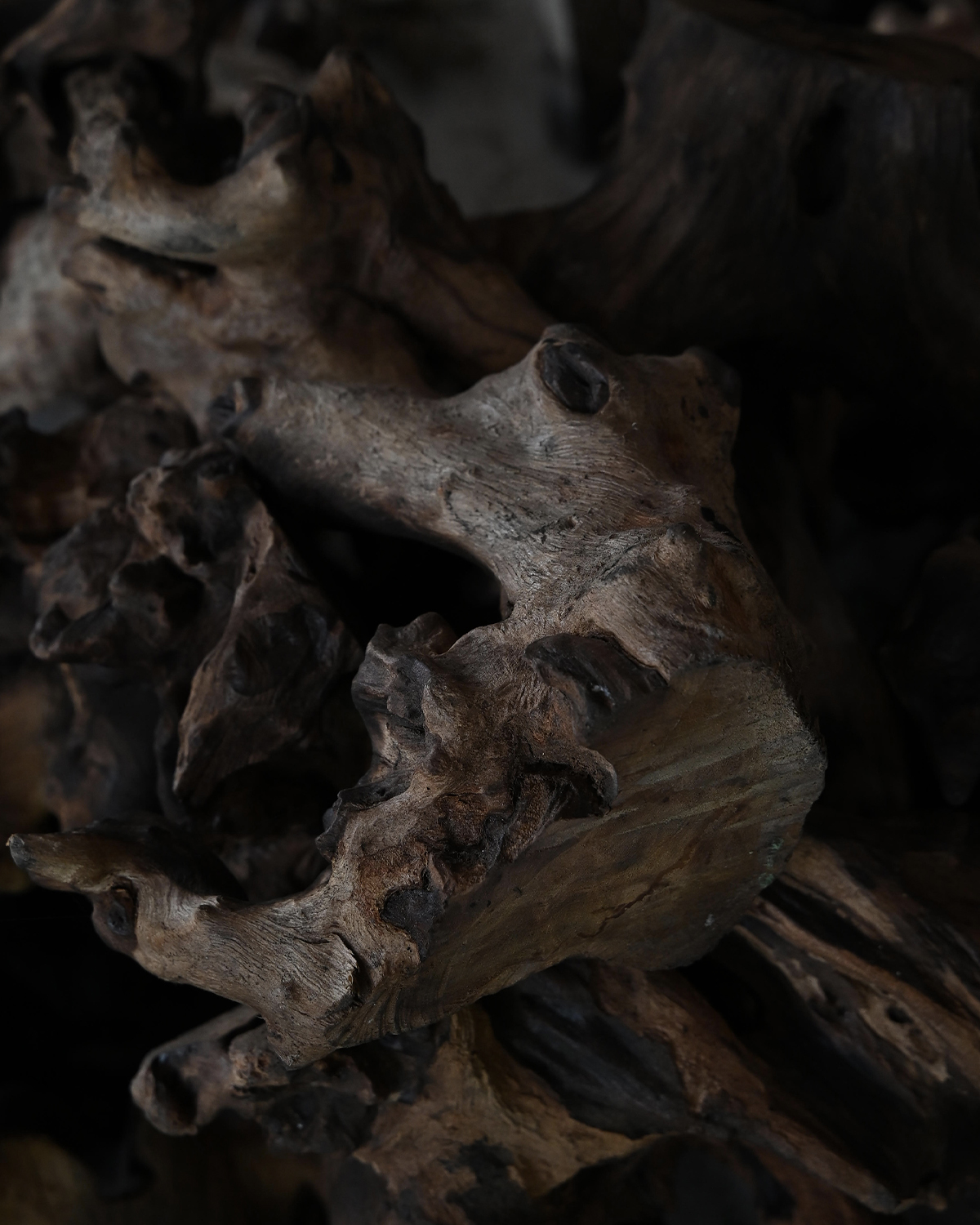 ThePunchCommunity_Featured_BaliSamaSama15