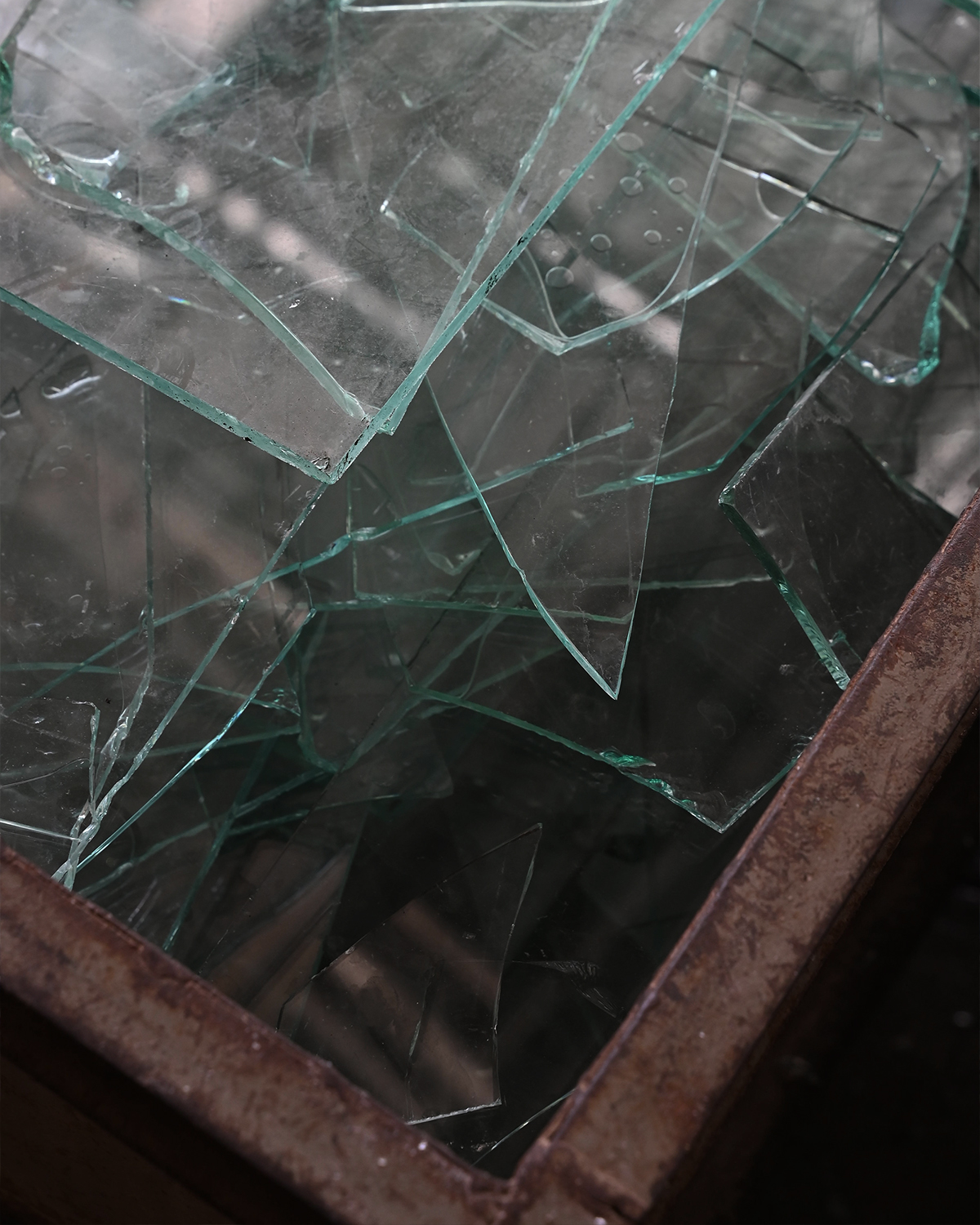 ThePunchCommunity_Featured_BaliSamaSama8