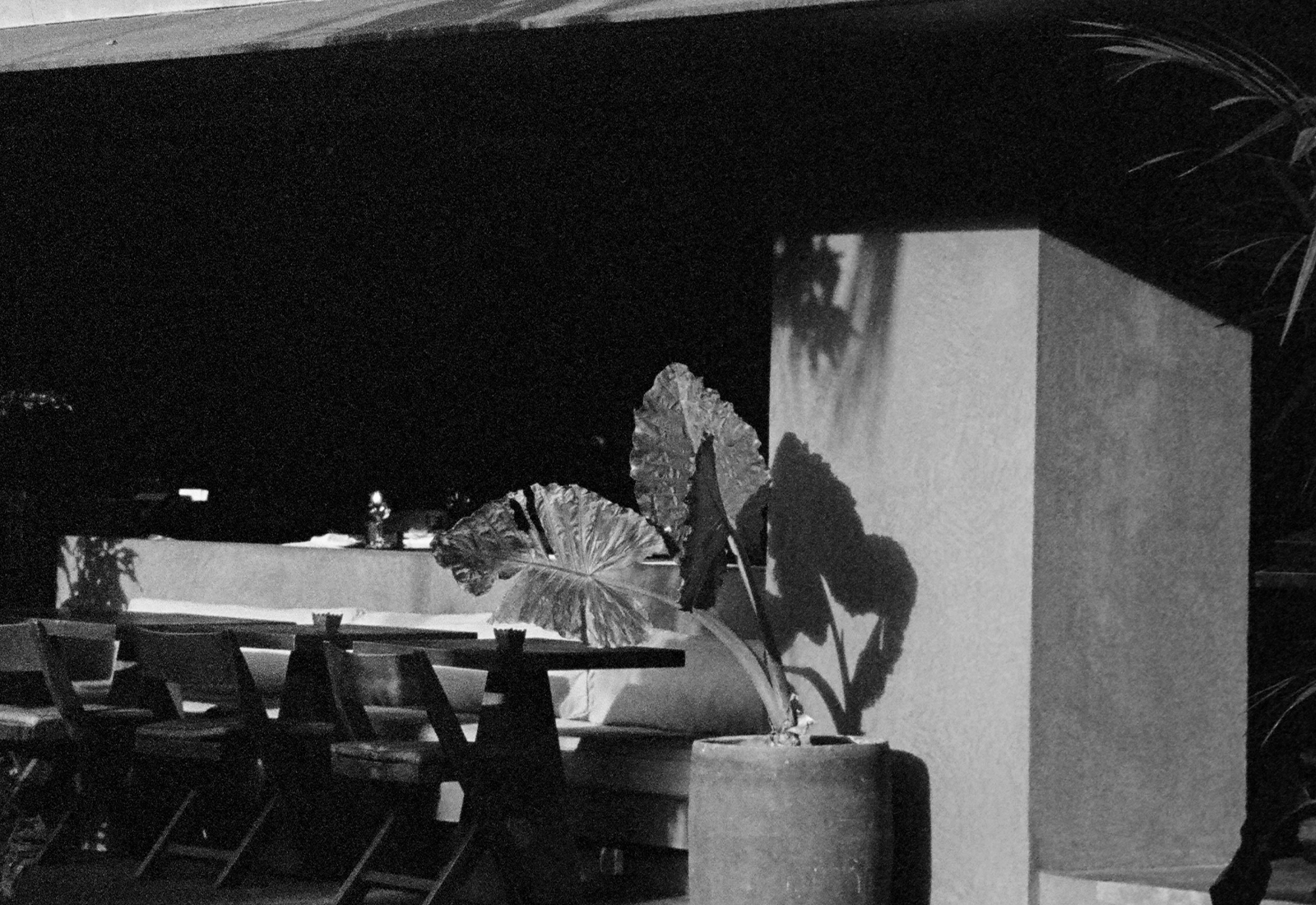 ThePunchCommunity_Featured_BarVera1