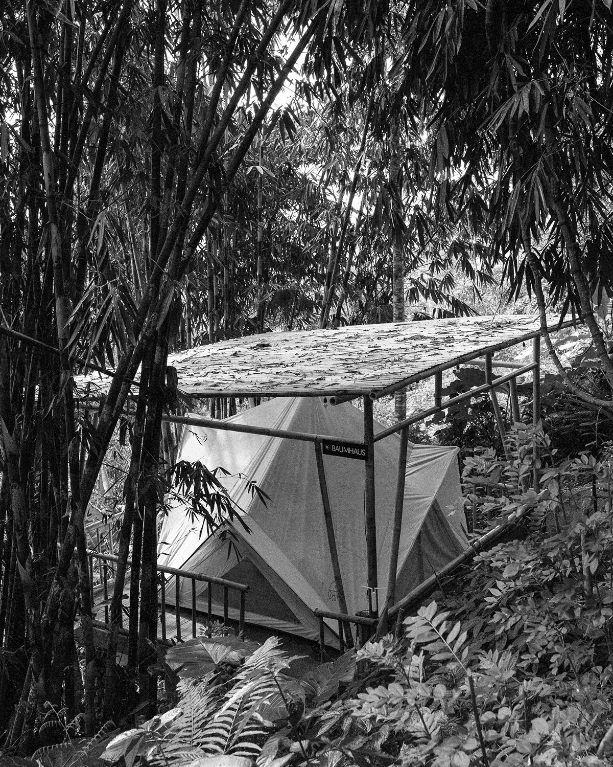 ThePunchCommunity_Featured_Custodia2