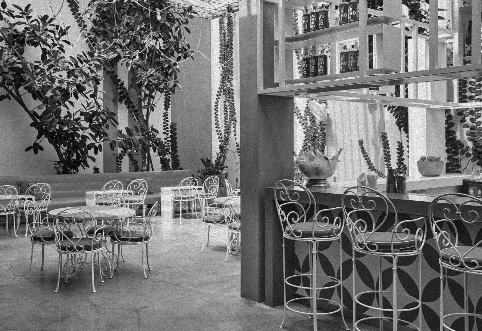 ThePunchCommunity_Featured_DaMaria