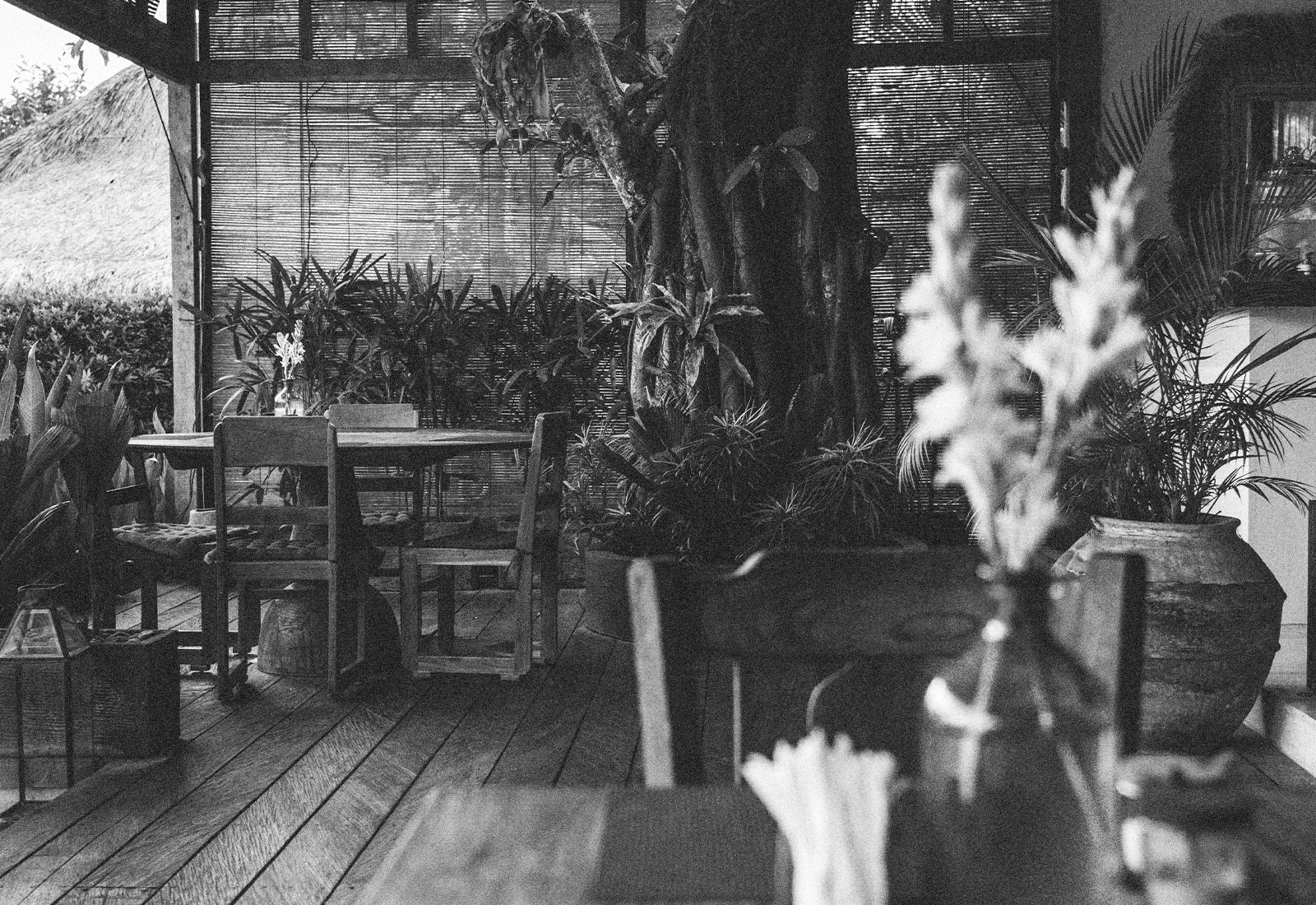 ThePunchCommunity_Featured_Gypsea1