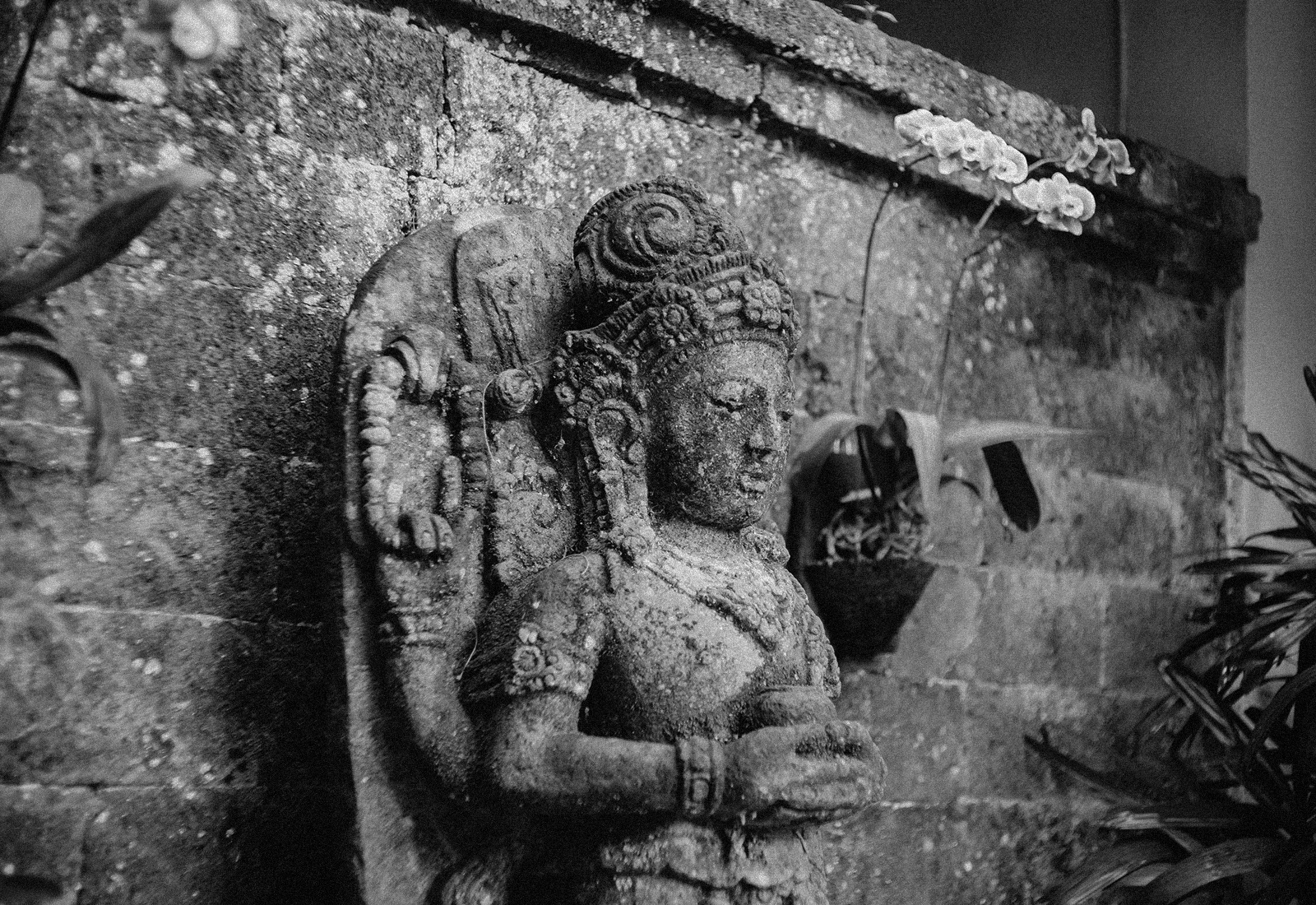 ThePunchCommunity_Featured_IbahUbud2