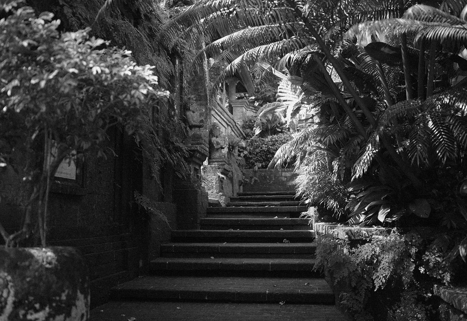 ThePunchCommunity_Featured_IbahUbud4