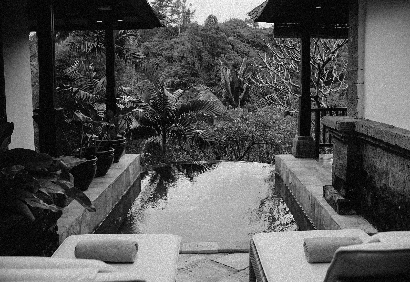 ThePunchCommunity_Featured_IbahUbud5