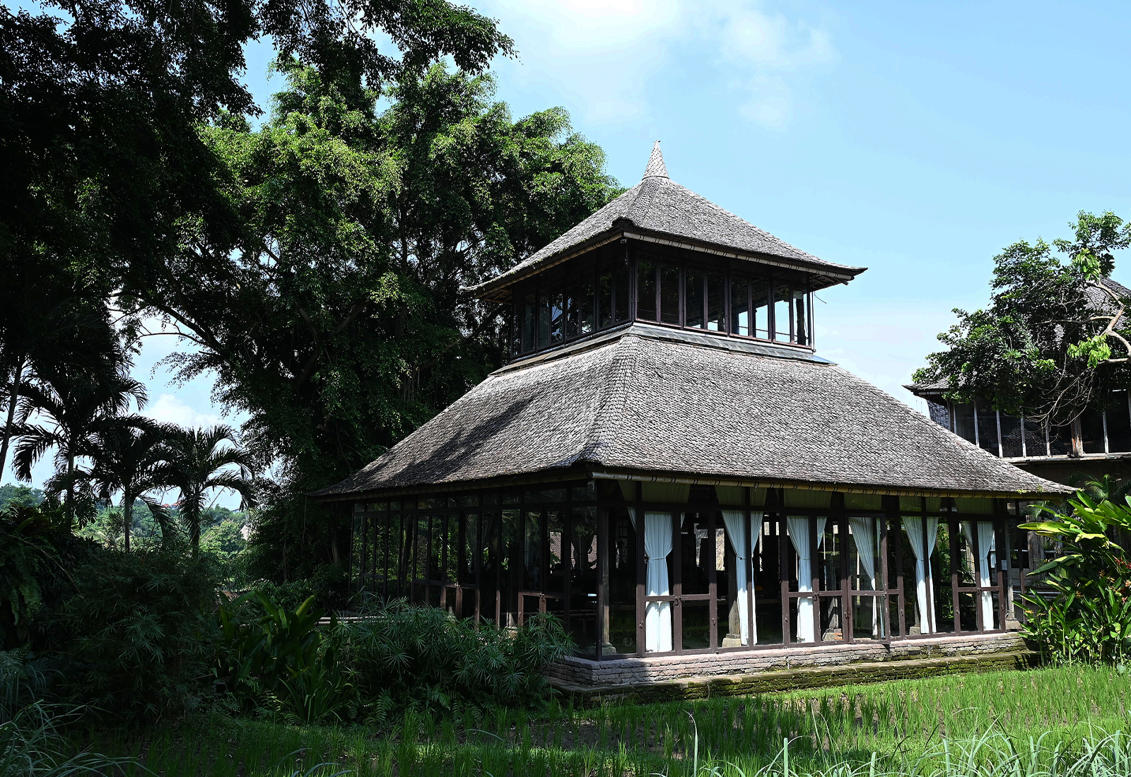 ThePunchCommunity_Featured_JohnHardy7