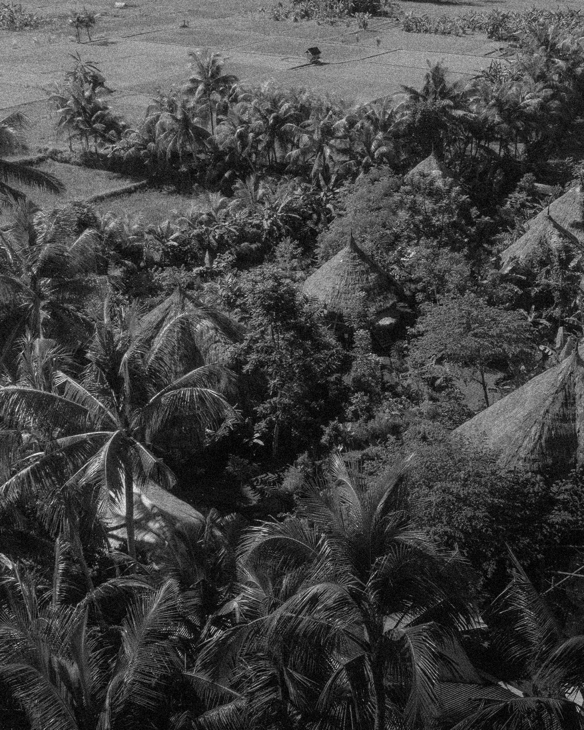 ThePunchCommunity_Featured_Mana1