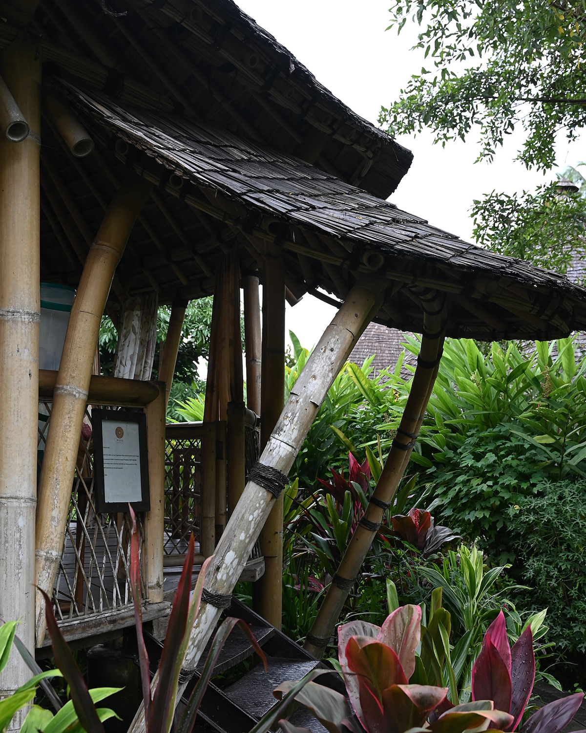 ThePunchCommunity_Featured_ManaEarthlyParadise1