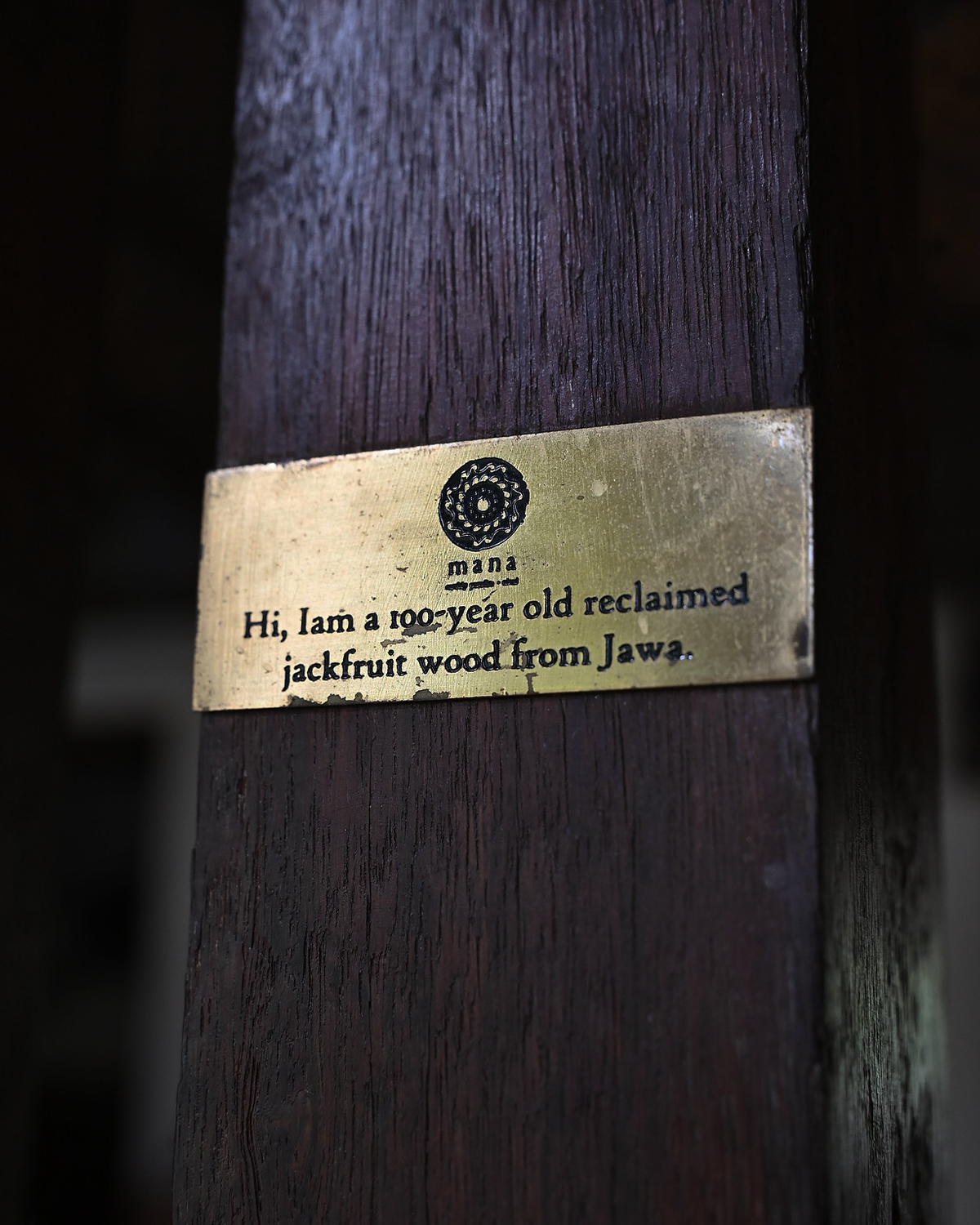 ThePunchCommunity_Featured_ManaEarthlyParadise22