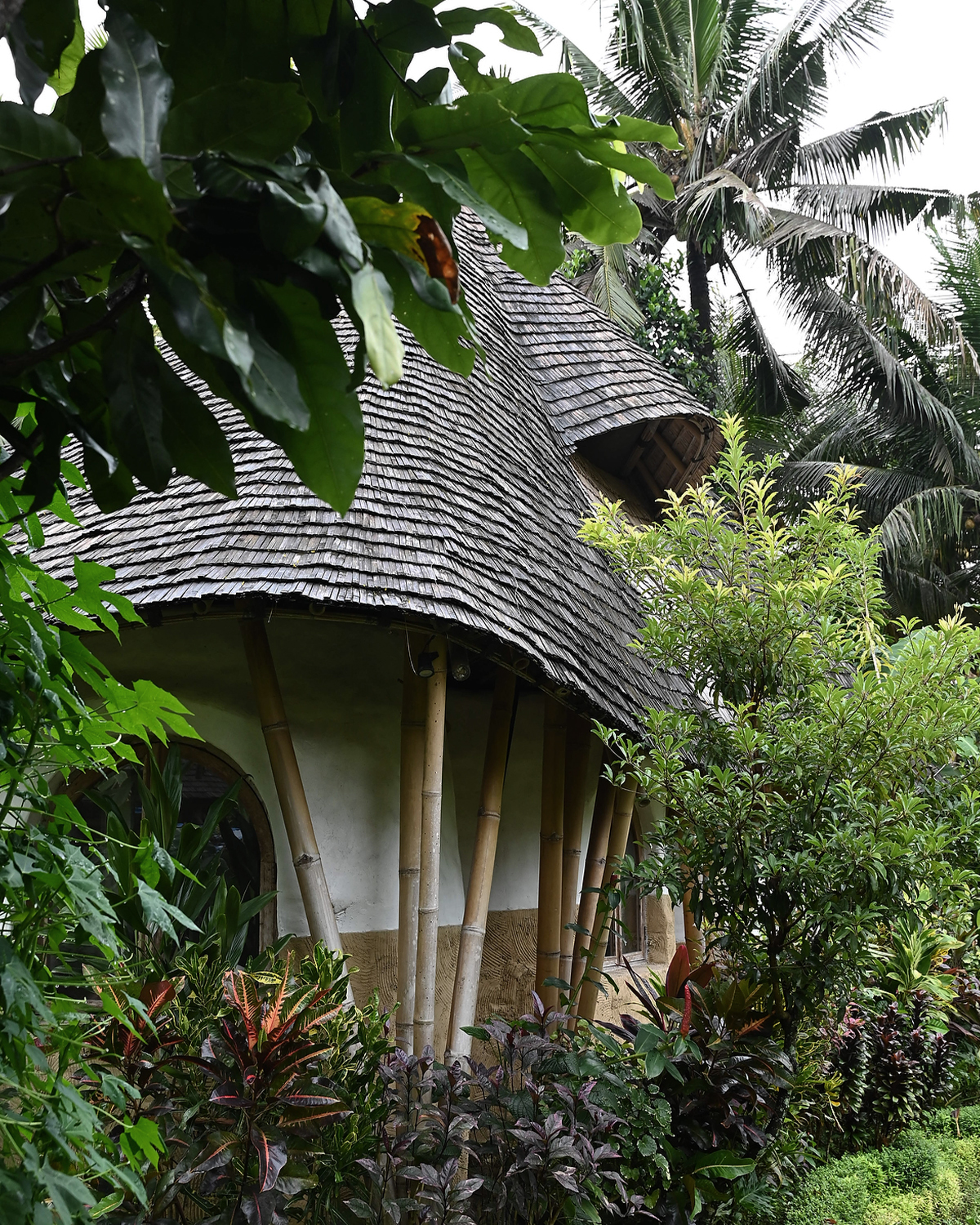 ThePunchCommunity_Featured_ManaEarthlyParadise3