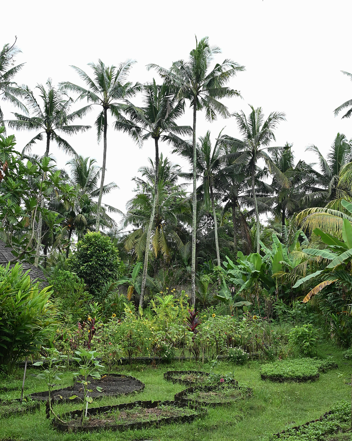 ThePunchCommunity_Featured_ManaEarthlyParadise6