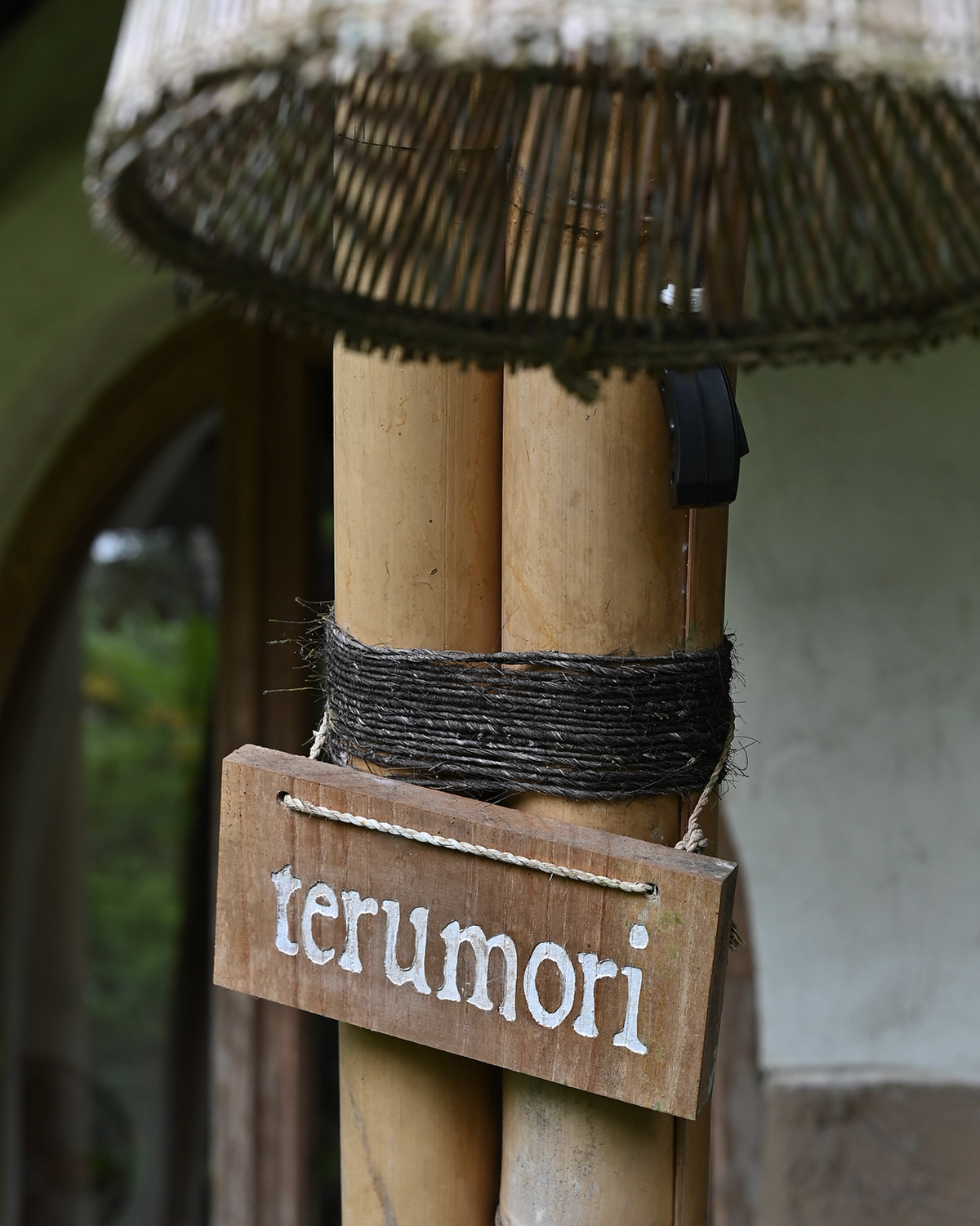 ThePunchCommunity_Featured_ManaEarthlyParadise7