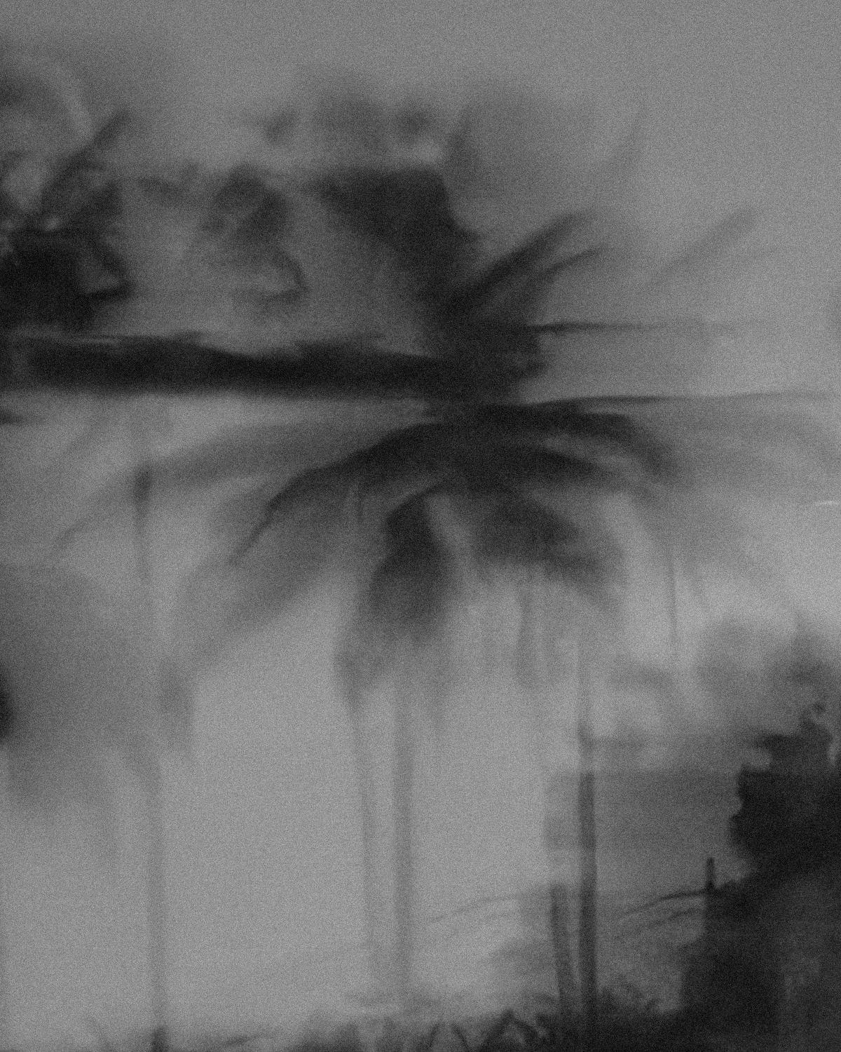 ThePunchCommunity_Featured_MoonGang2