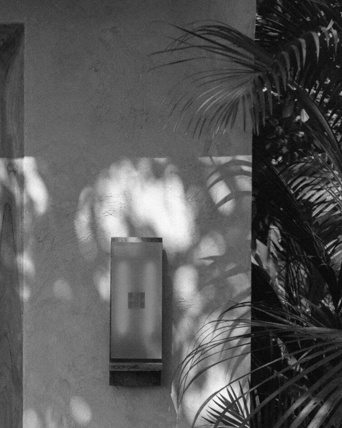 ThePunchCommunity_Featured_MoonGang3