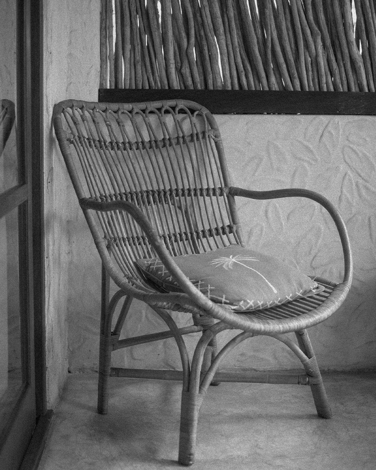 ThePunchCommunity_Featured_MuleMalu2