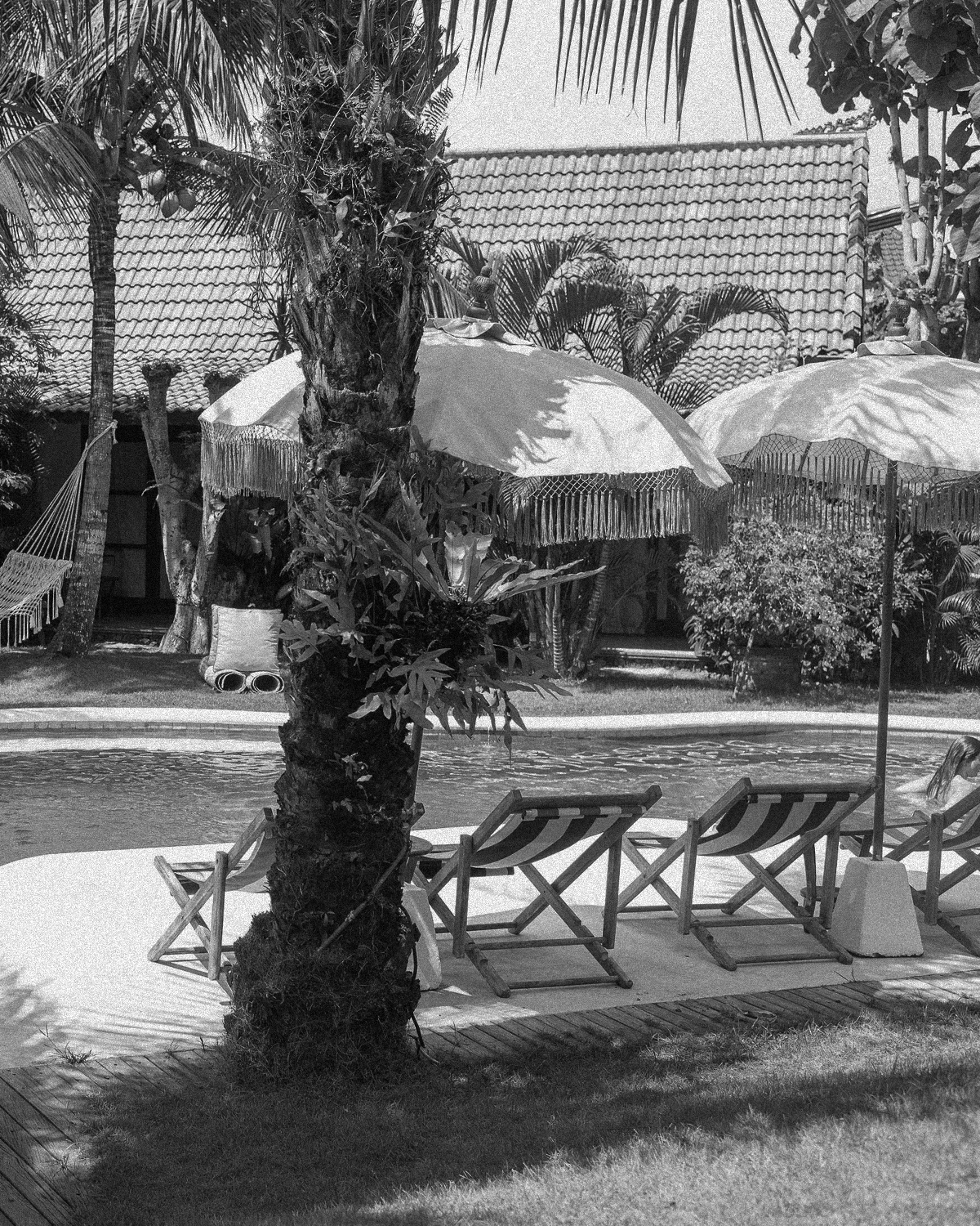 ThePunchCommunity_Featured_MuleMalu5