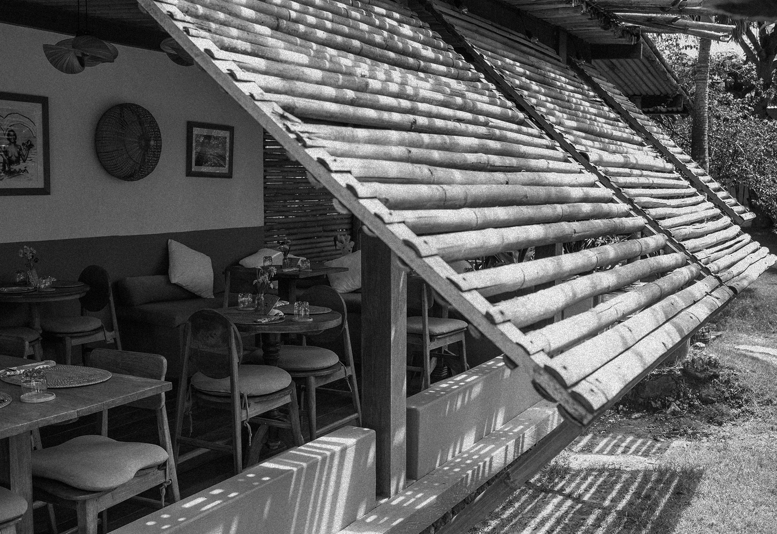 ThePunchCommunity_Featured_MuleMalu6