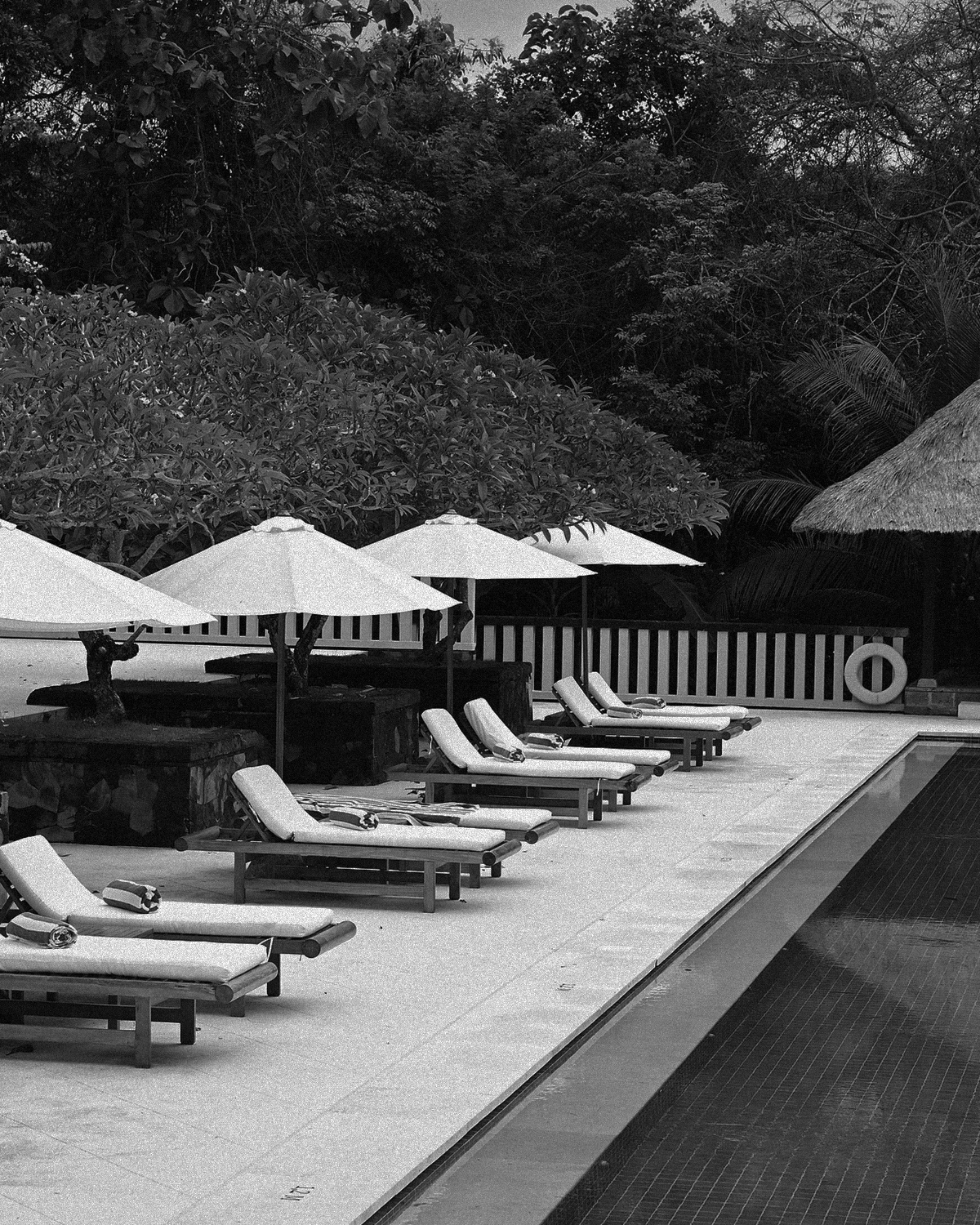 ThePunchCommunity_Featured_Revivo1