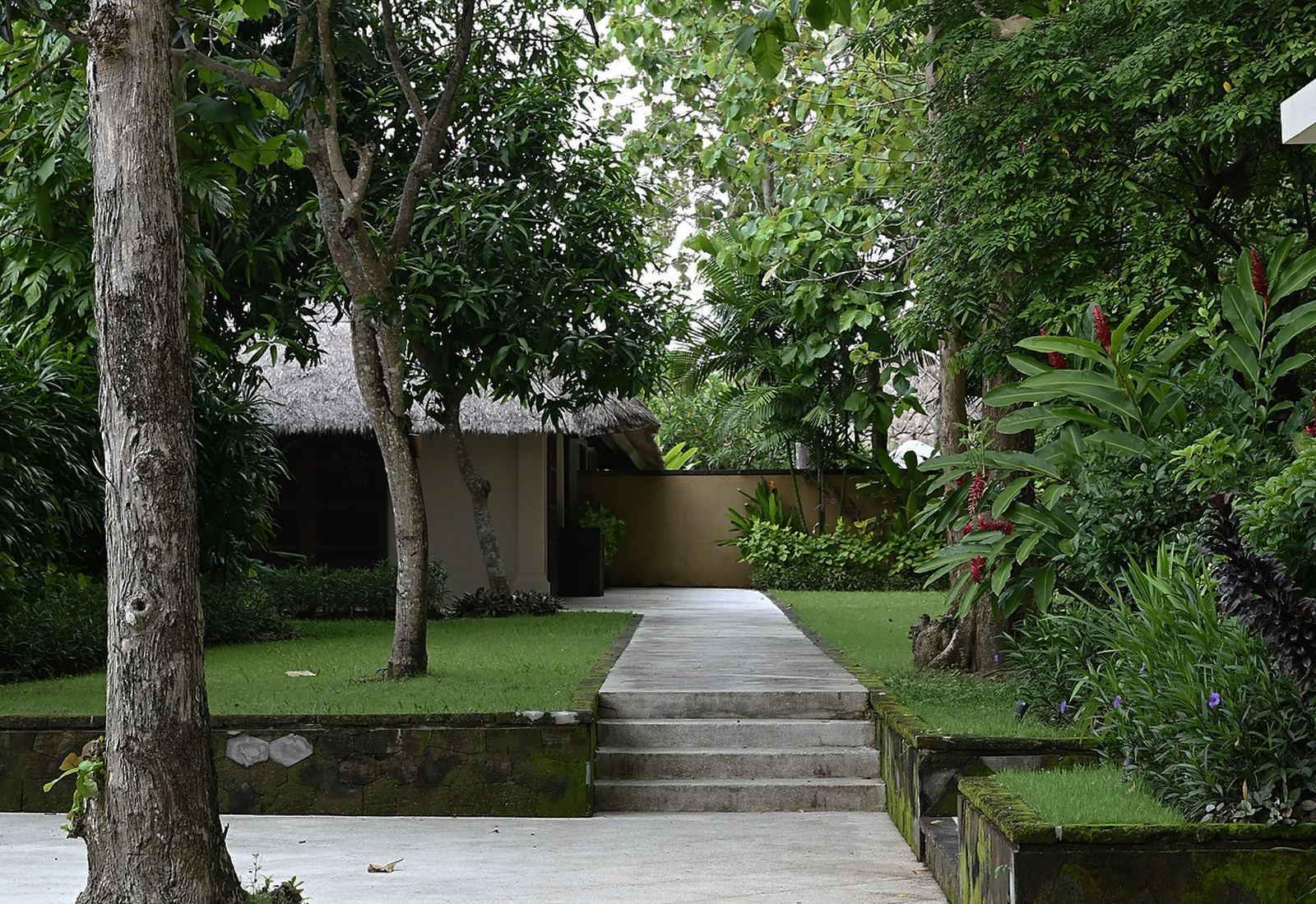 ThePunchCommunity_Featured_Revivo13