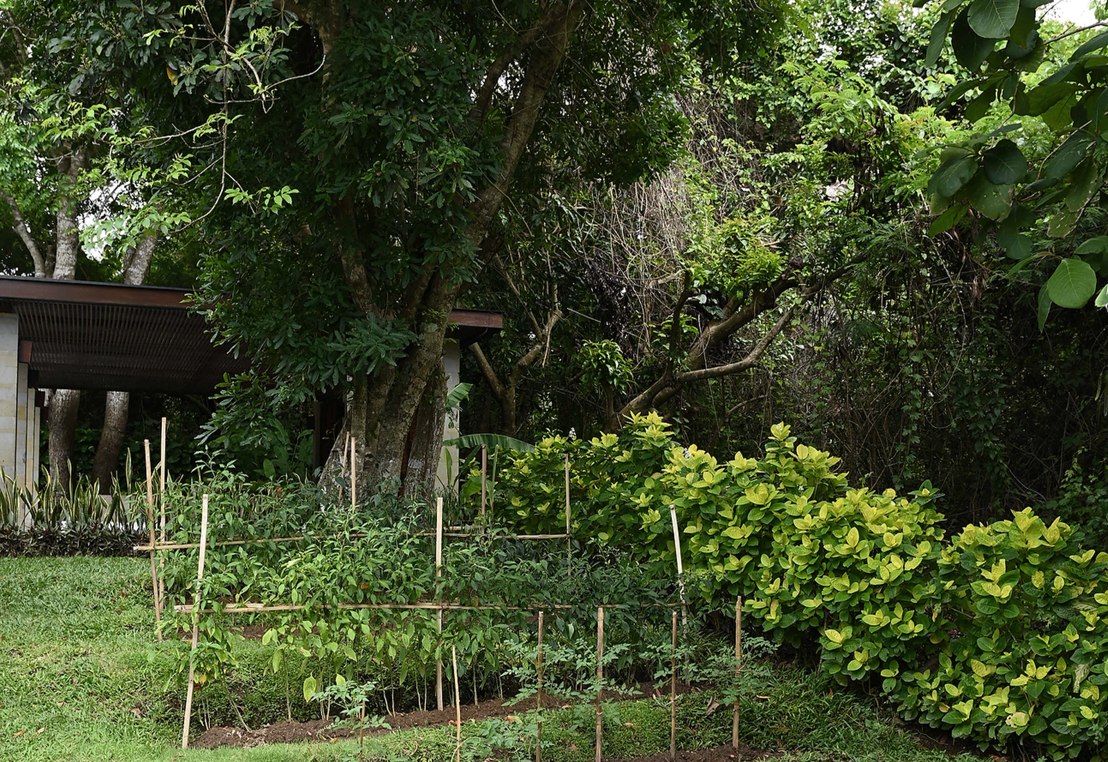 ThePunchCommunity_Featured_Revivo17