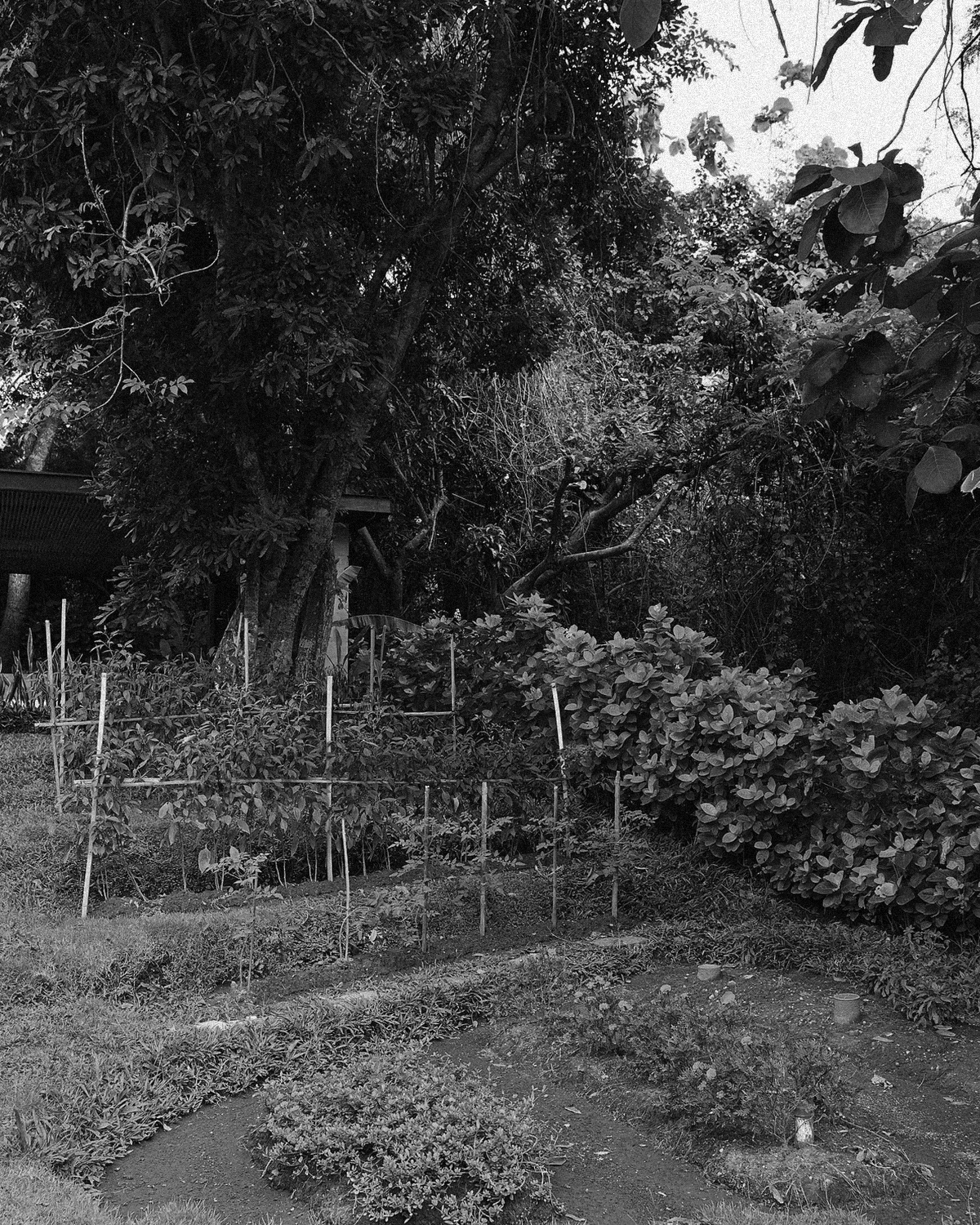 ThePunchCommunity_Featured_Revivo4