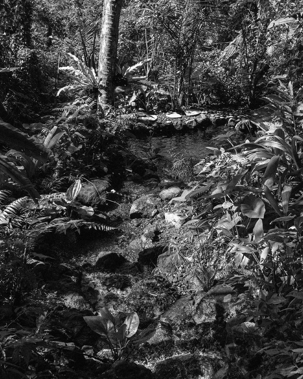 ThePunchCommunity_Featured_SebatuSanctuary1