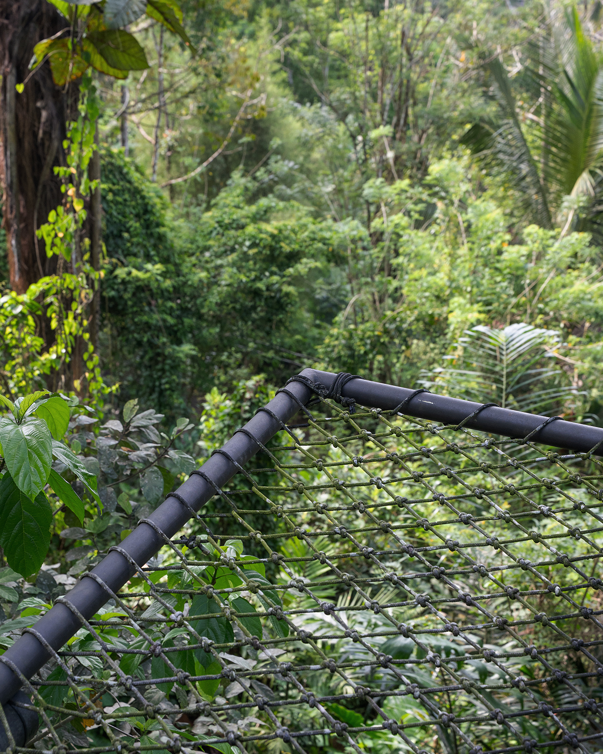 ThePunchCommunity_Featured_SebatuSanctuary11