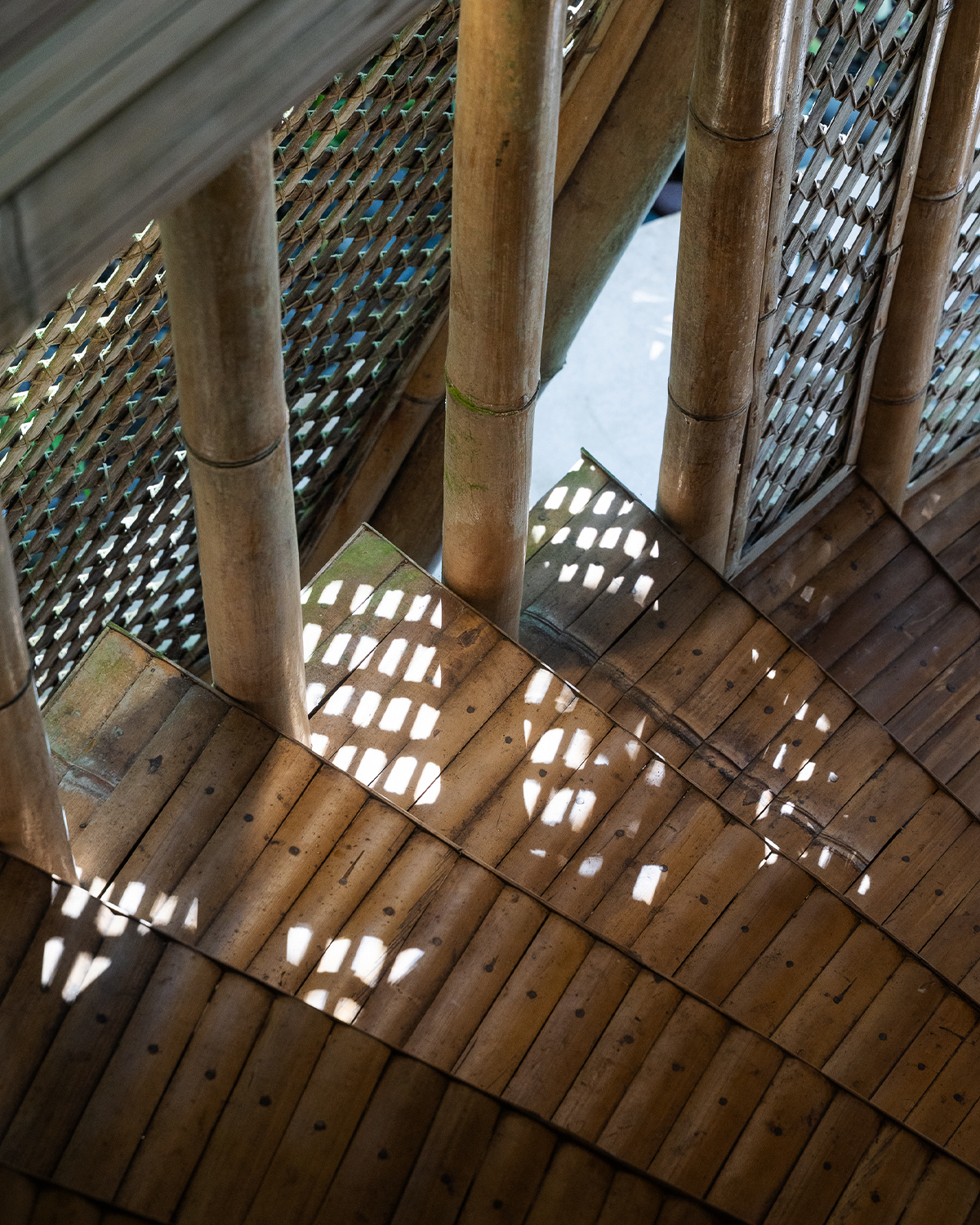 ThePunchCommunity_Featured_SebatuSanctuary14