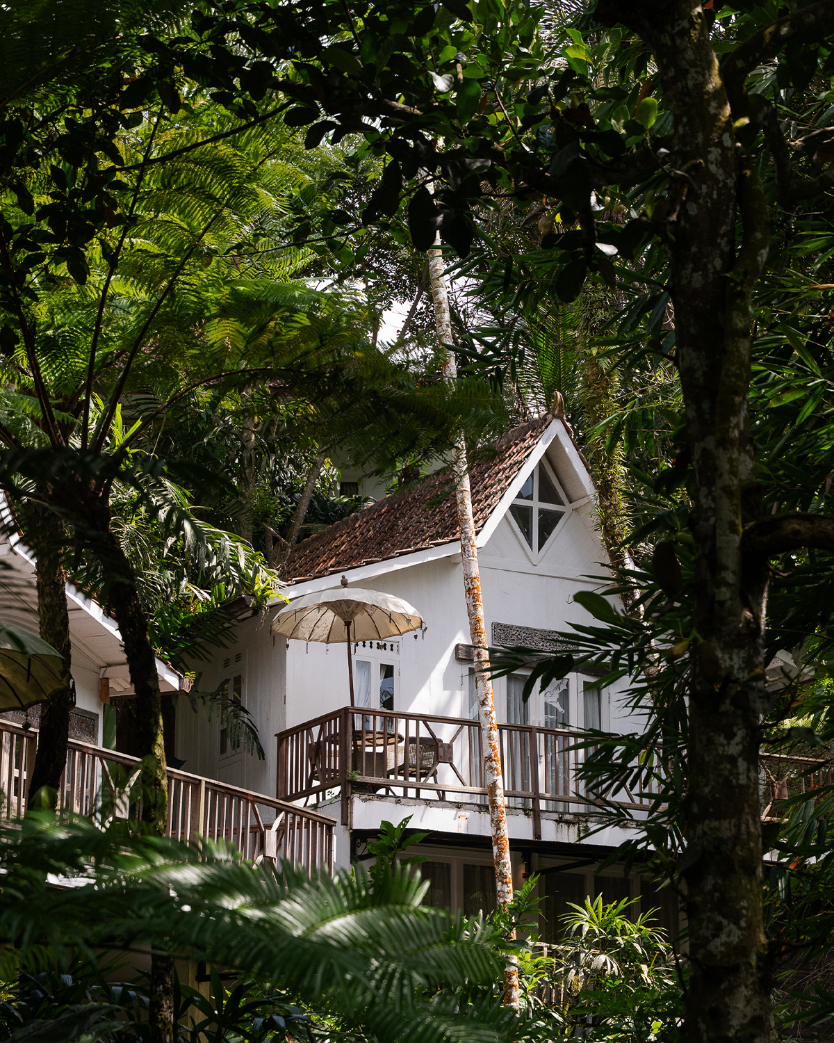 ThePunchCommunity_Featured_SebatuSanctuary22