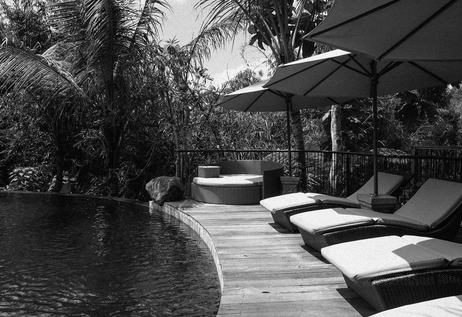 ThePunchCommunity_Featured_SebatuSanctuary23