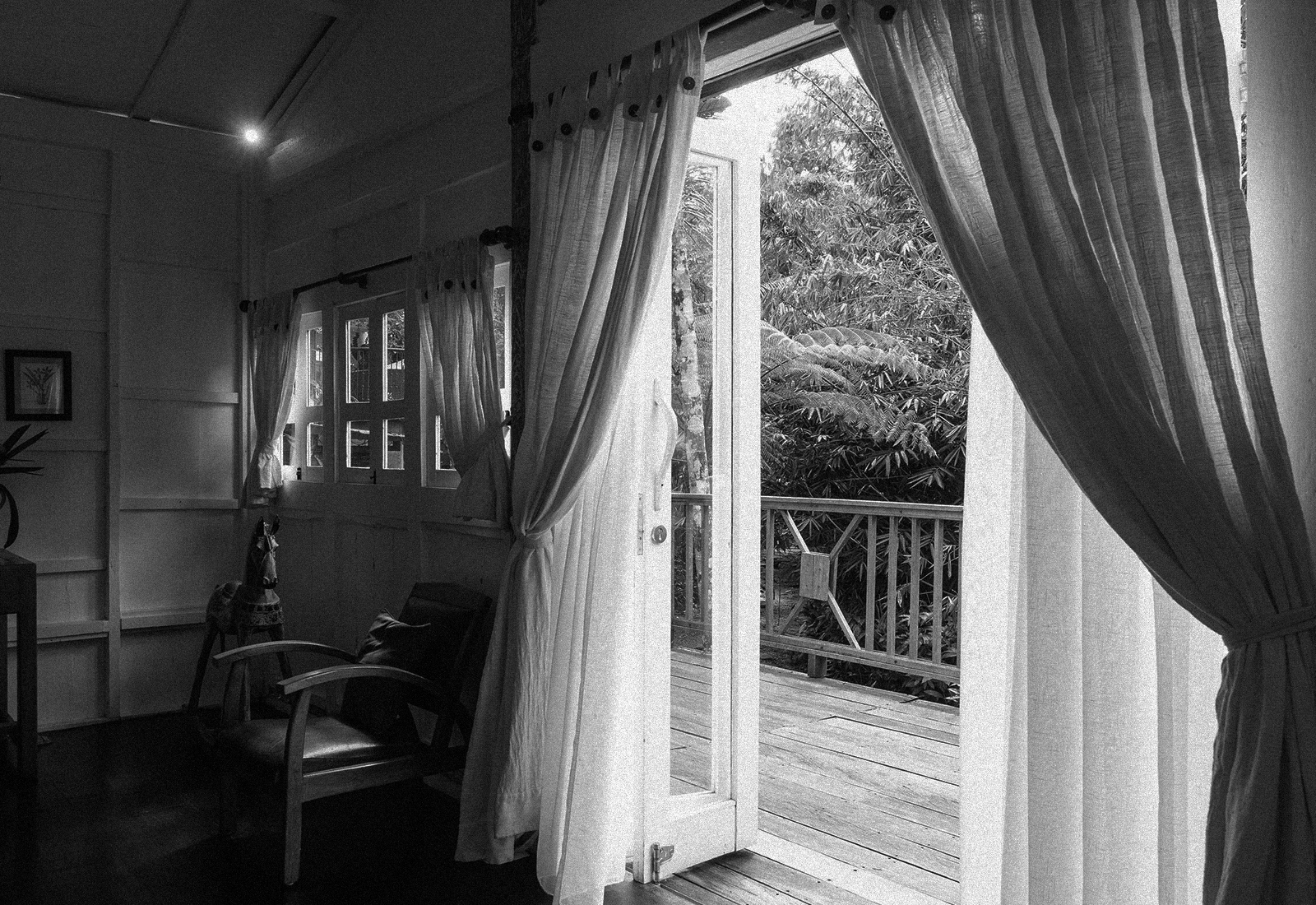 ThePunchCommunity_Featured_SebatuSanctuary26