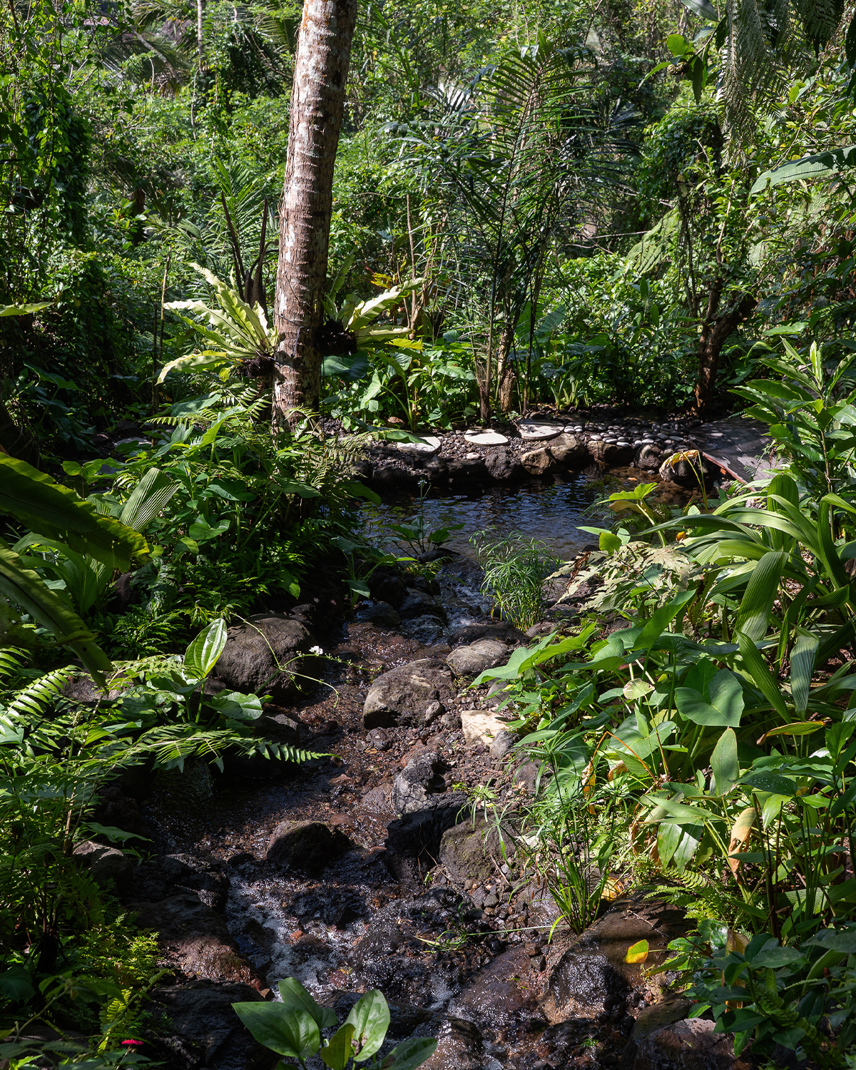 ThePunchCommunity_Featured_SebatuSanctuary4