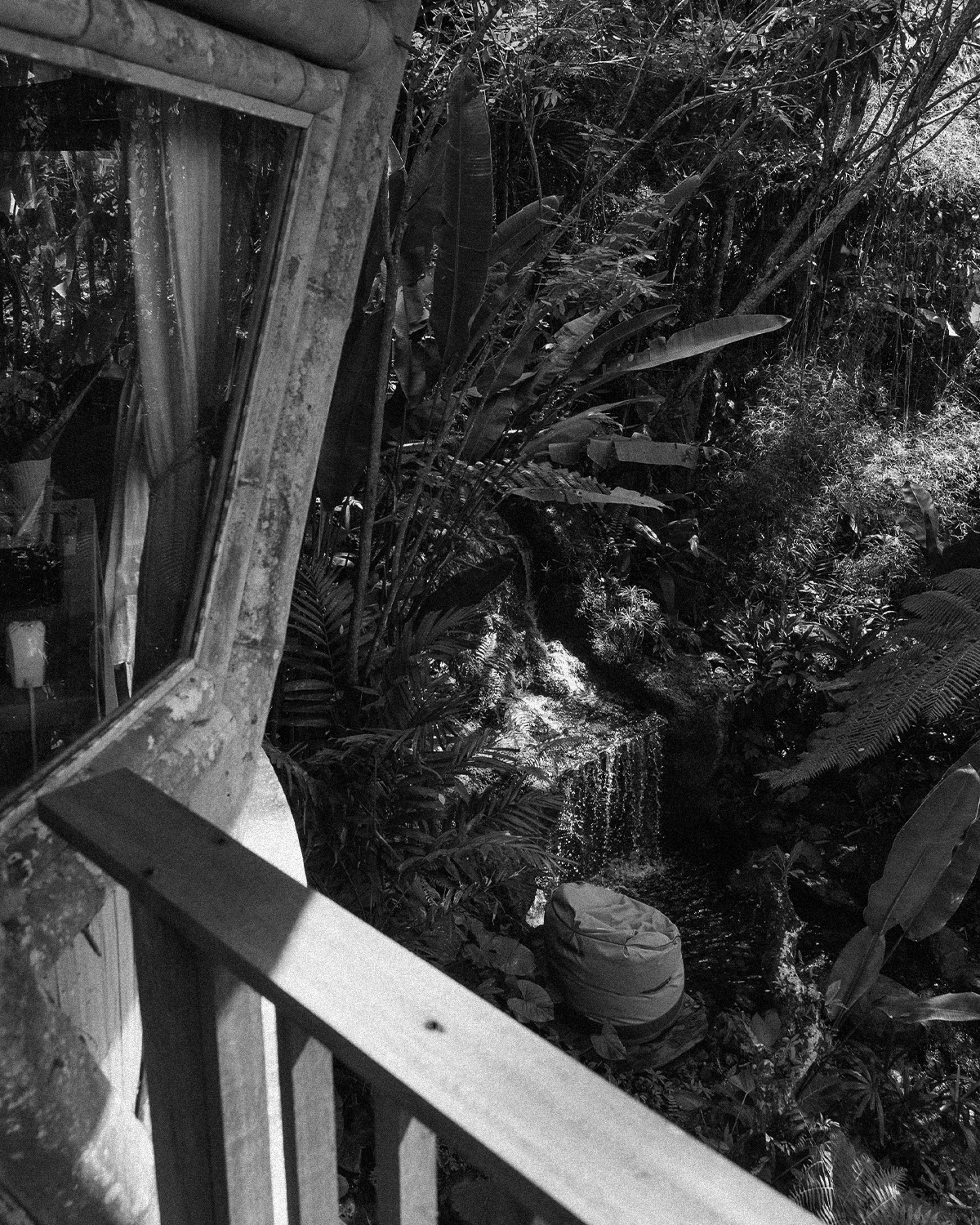 ThePunchCommunity_Featured_SebatuSanctuary4