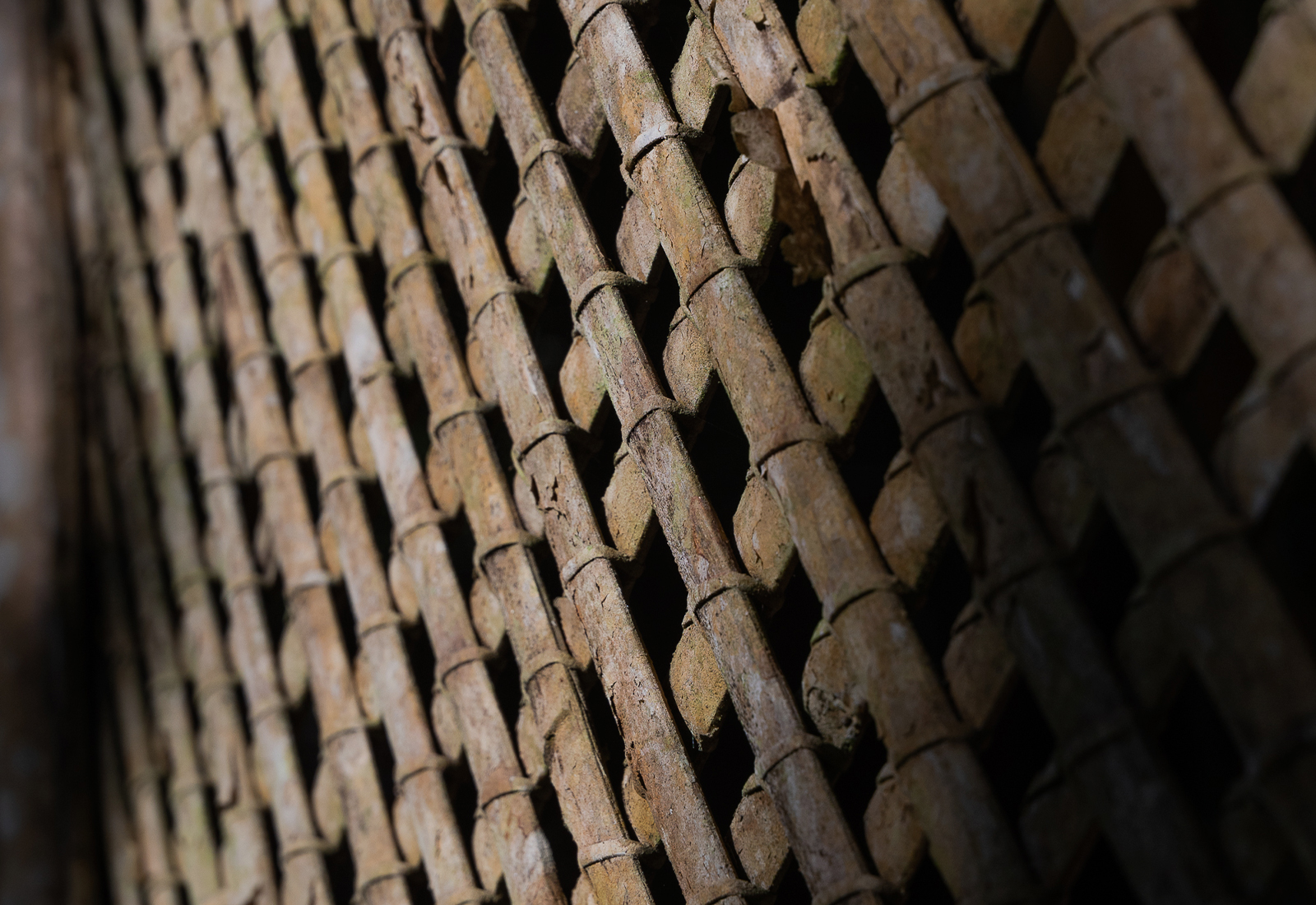 ThePunchCommunity_Featured_SebatuSanctuary5