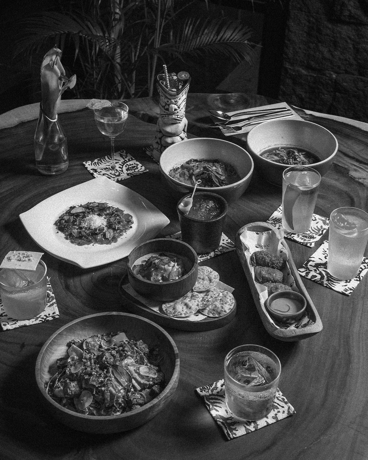 ThePunchCommunity_Featured_SpicebyBlake2