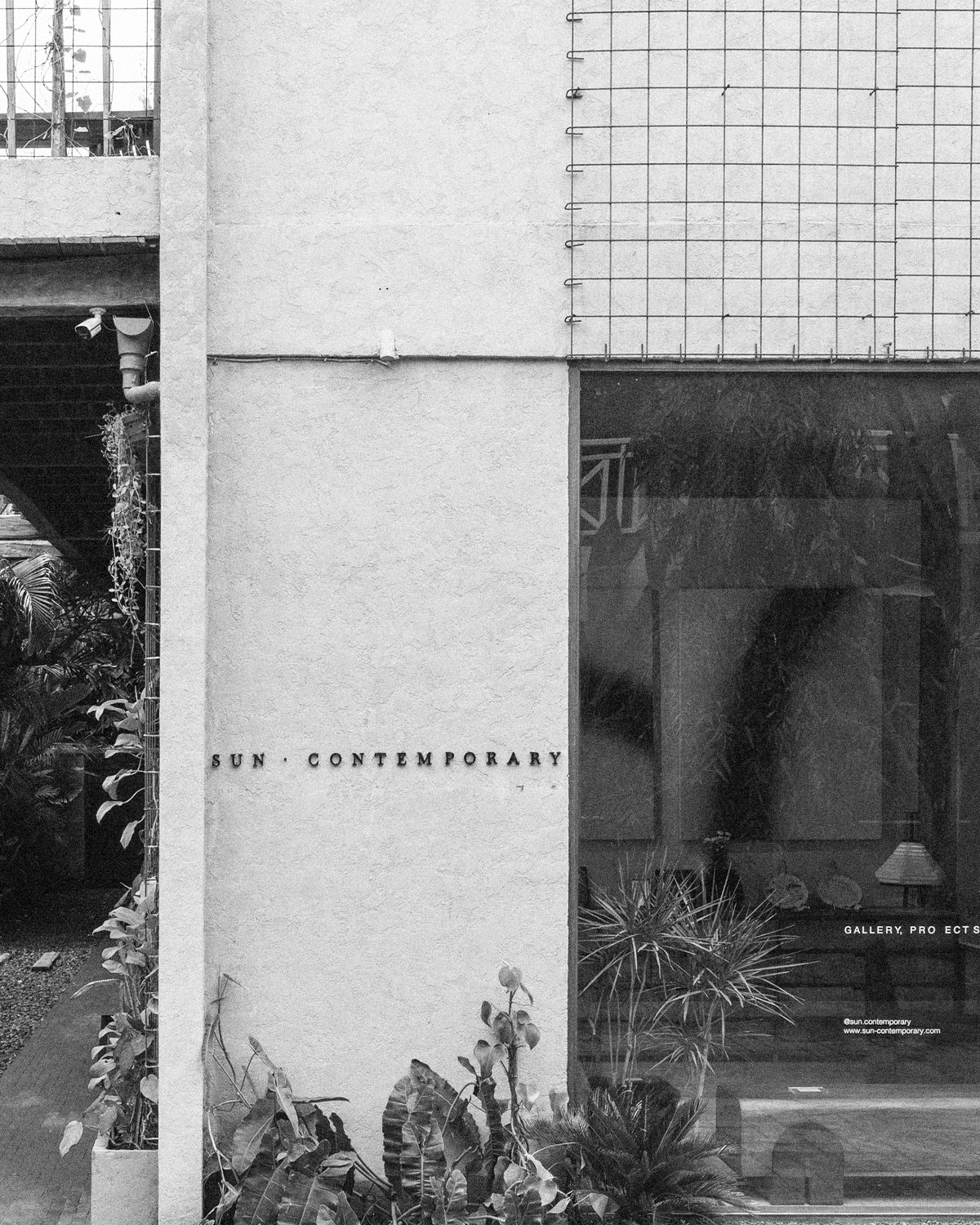 ThePunchCommunity_Featured_SunContemporary